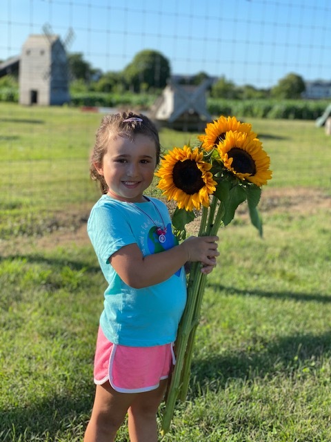 New kindergartener Skylar Kirby gathers the Our Lady of the Hamptons school symbol, sunflowers, as she prepares for the new school year.