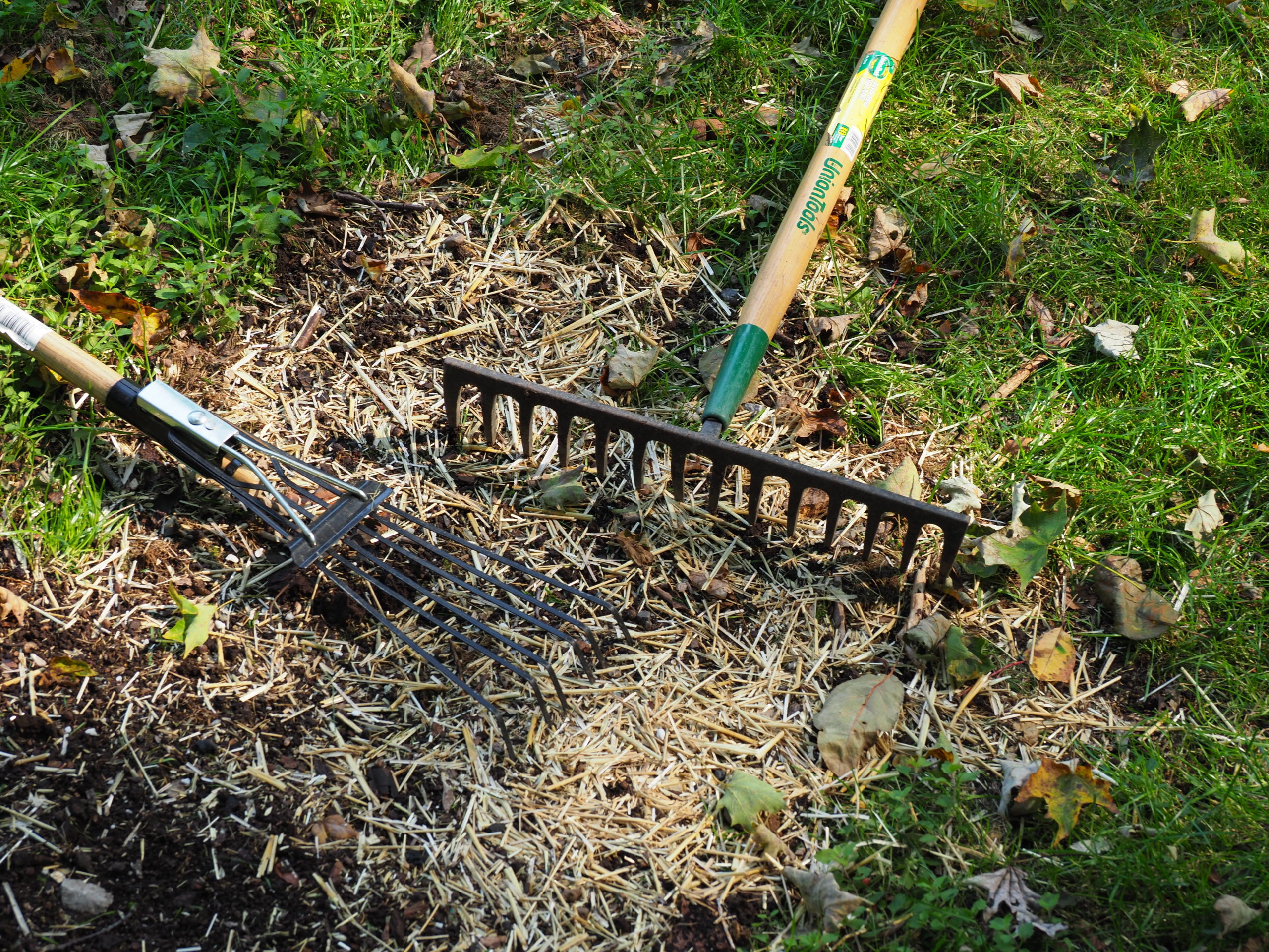 The two tools used in this project were a 5-inch steel fan rake to rough up the patch area and remove the dead grass and weeds.  The metal tine rake has 3 inch tines over 15 inches and is used for leveling, raking and tamping.