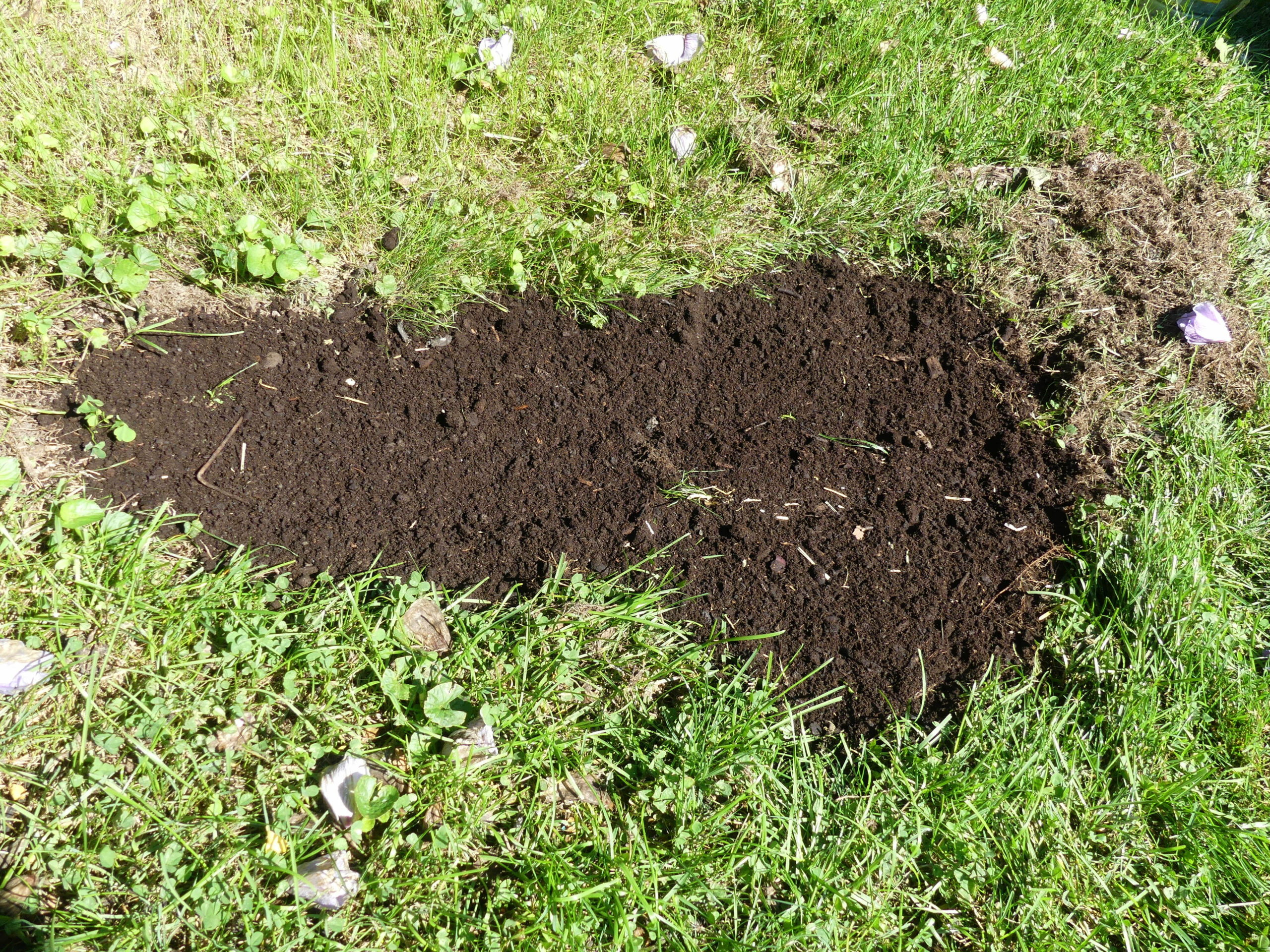 Once raked clear with a small fan rake (debris to the right) the area to be seeded is filled and leveled with the property soil mix and leveled with  a tine rake.