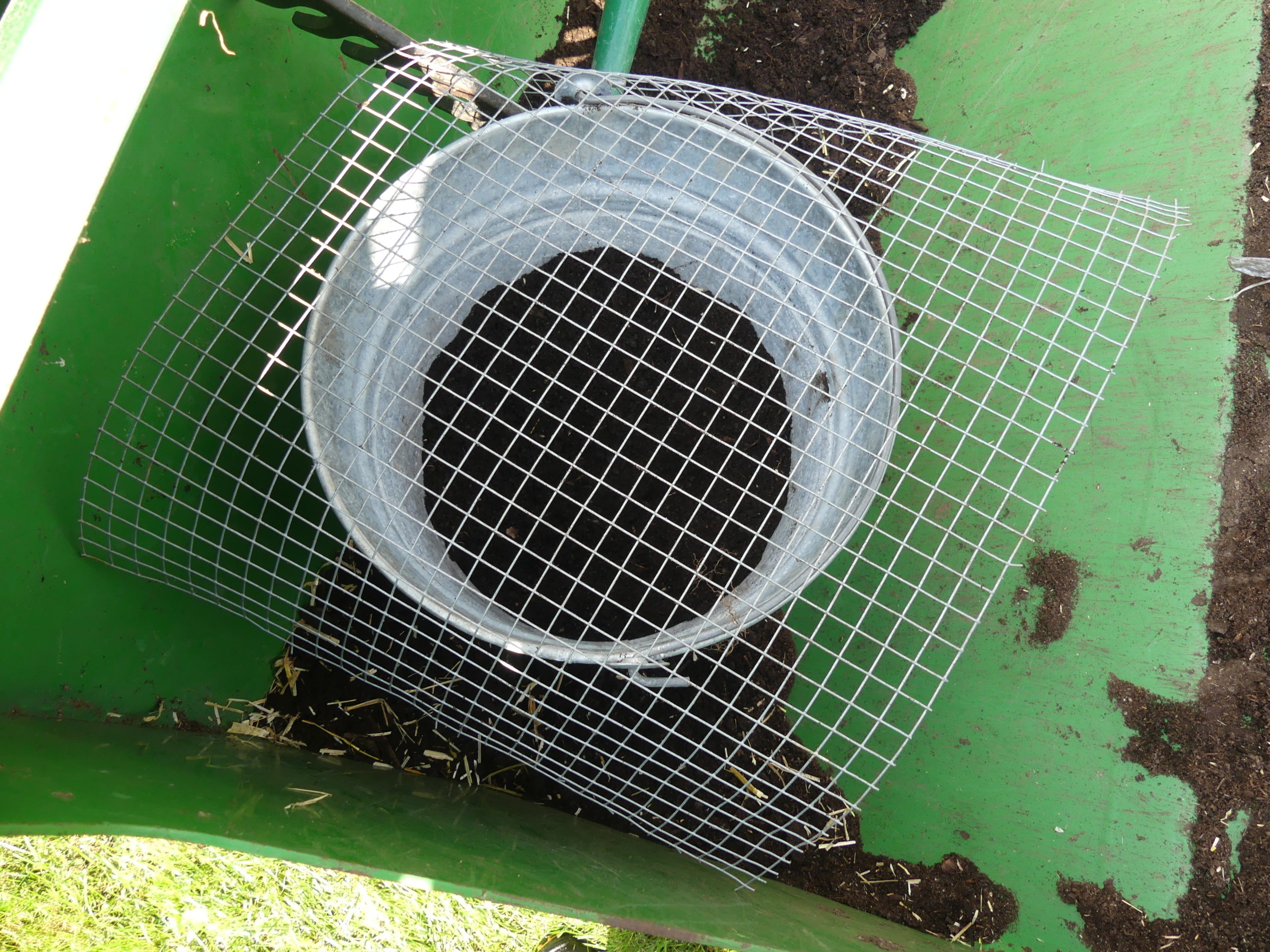 Some of the soil used for filling in gets screened through a quarter-inch mesh and into a pail.  This soil is then used to lightly cover the seed bed with an eighth-inch of soil.