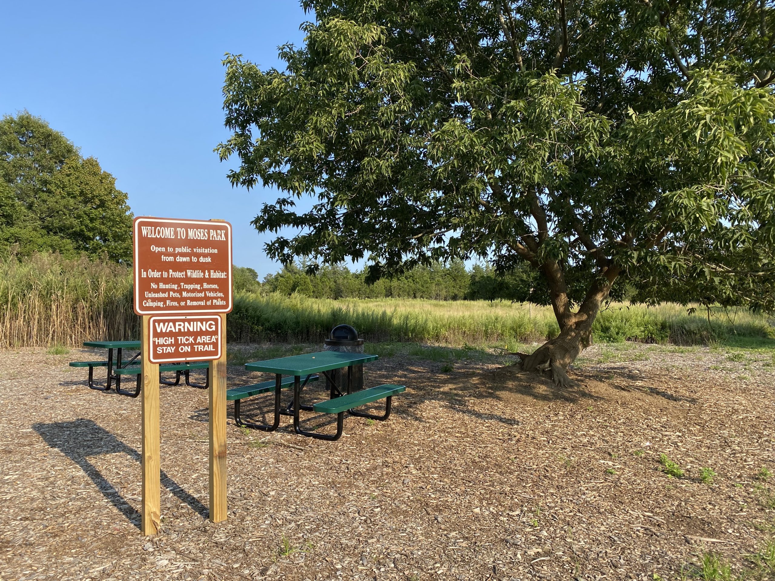 The Community Preservation Fund purchased and preserved the land that would become Moses Park in Southampton Village.