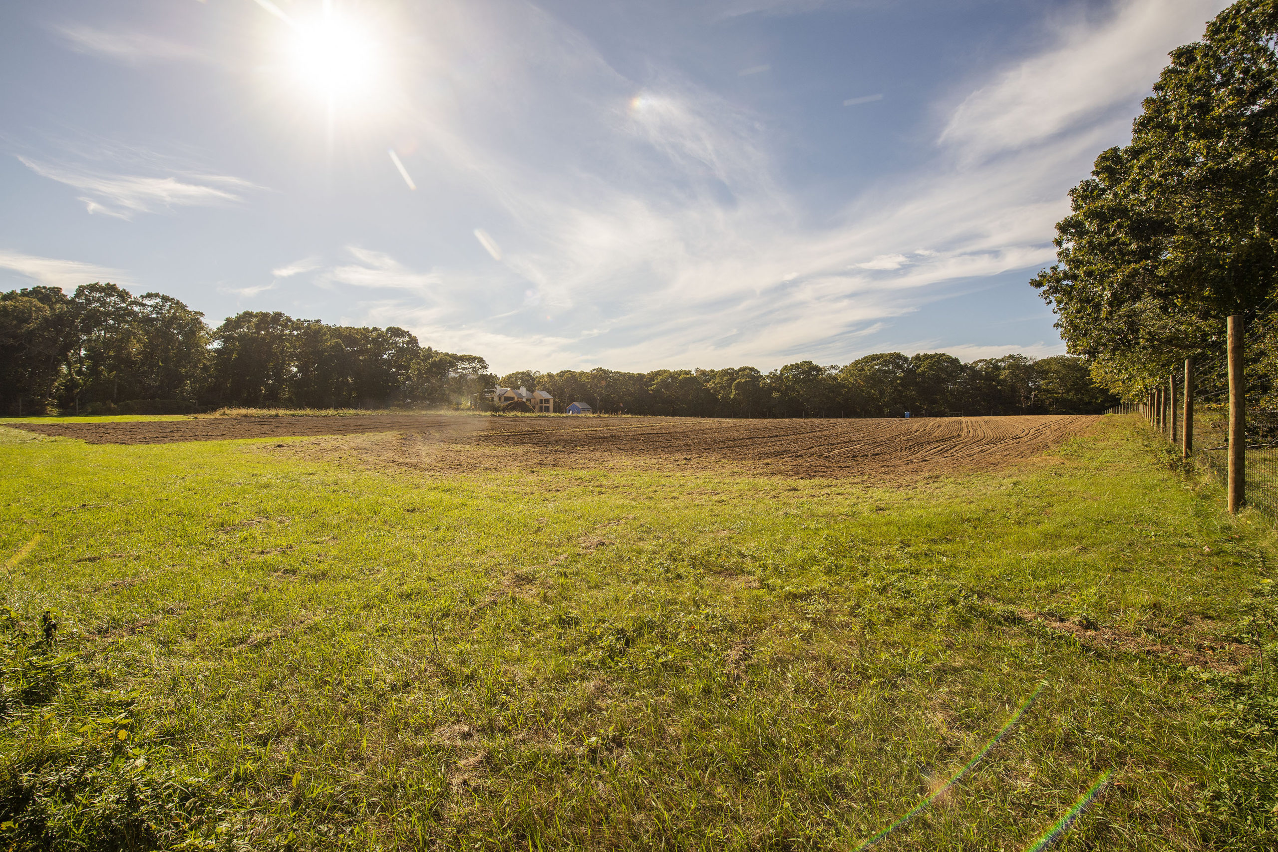 East Hampton Town has proposed purchasing three half-acre building lots at the back of this farm field at the intersection of Buckskill Road and Green Hollow Road. The cost would be more than $6.8 million, with a group of neighbors contributing $2.6 million to the purchase.