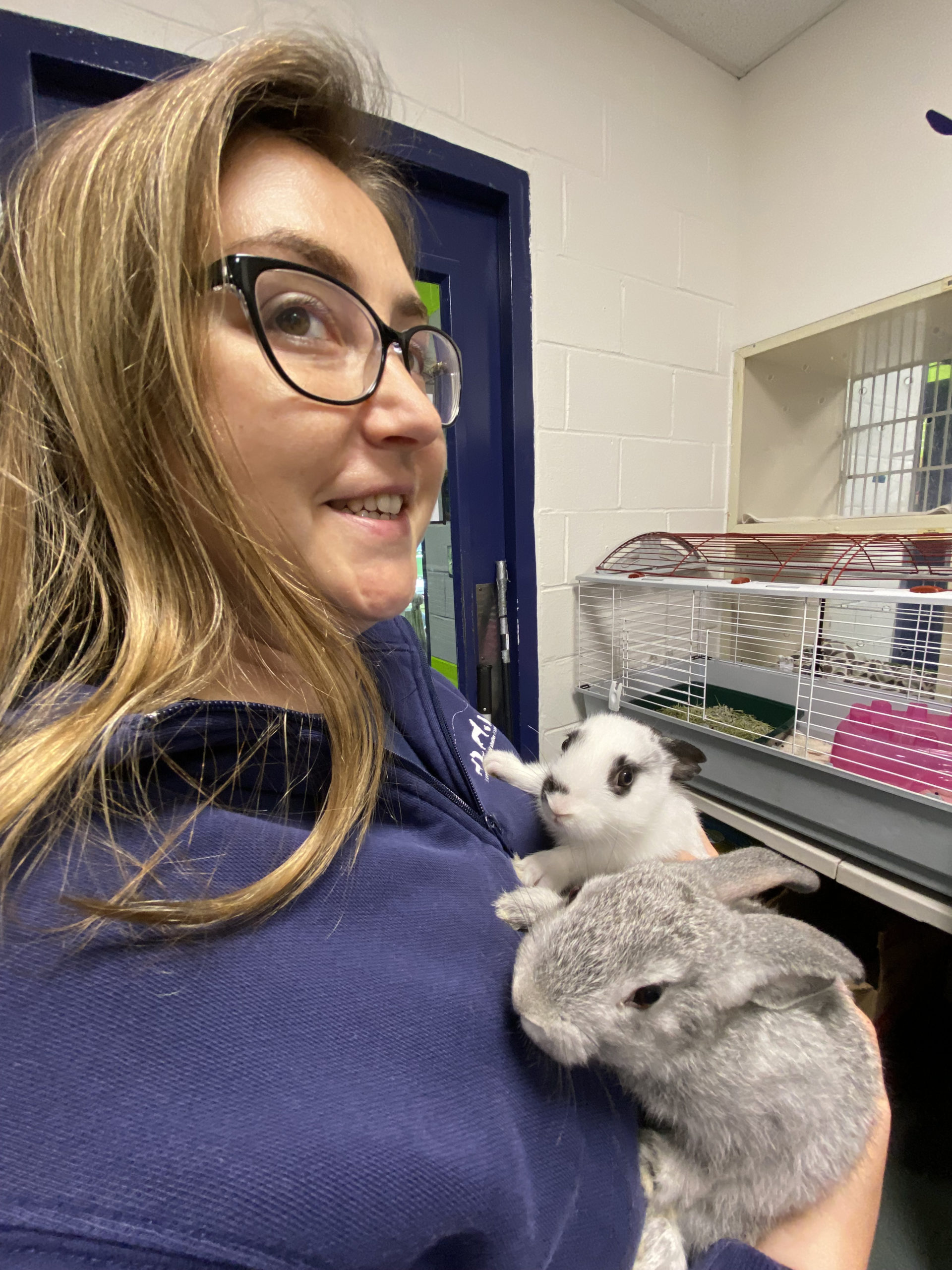 Julie Kamine with two of the many bunnies at the Southampton Animal Shelter.  DANA SHAW