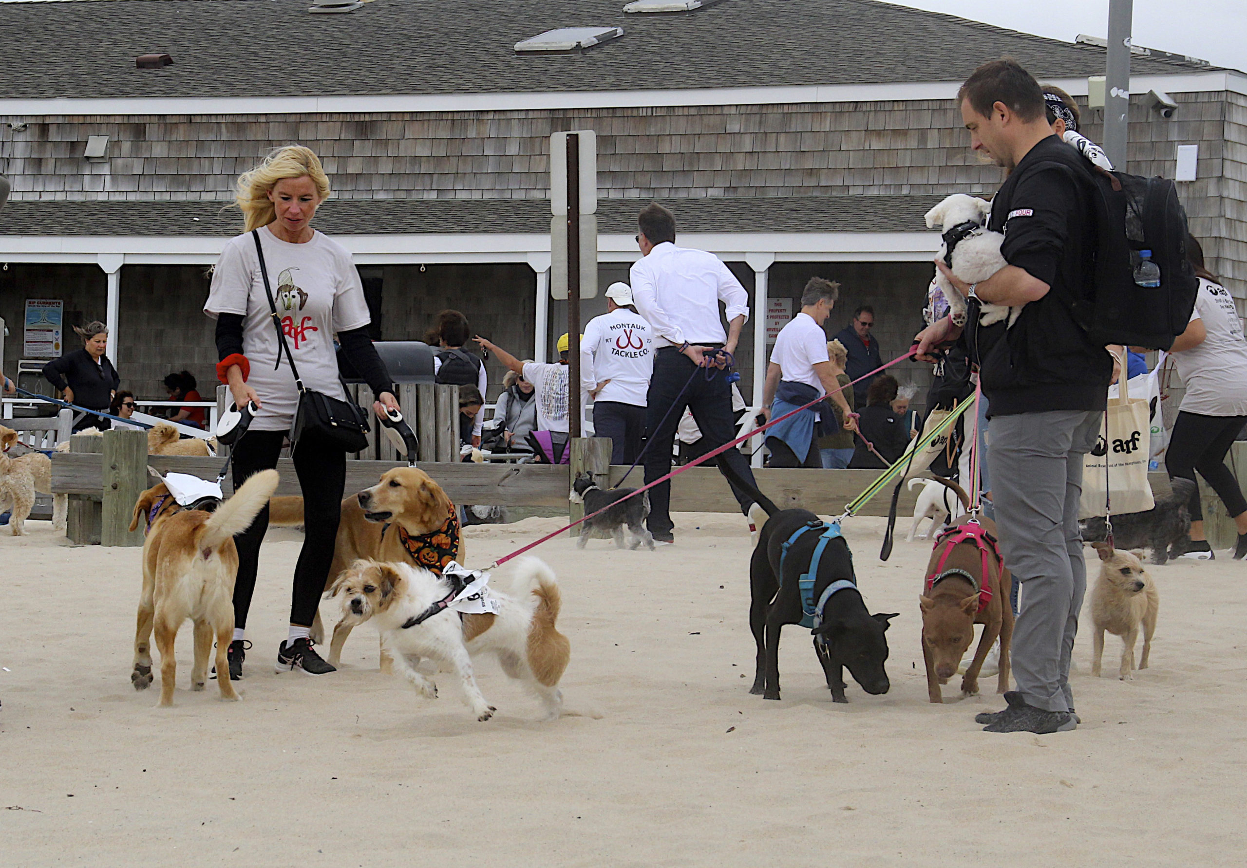 The Animal Rescue Fund of the Hamptons hosted it's annual 