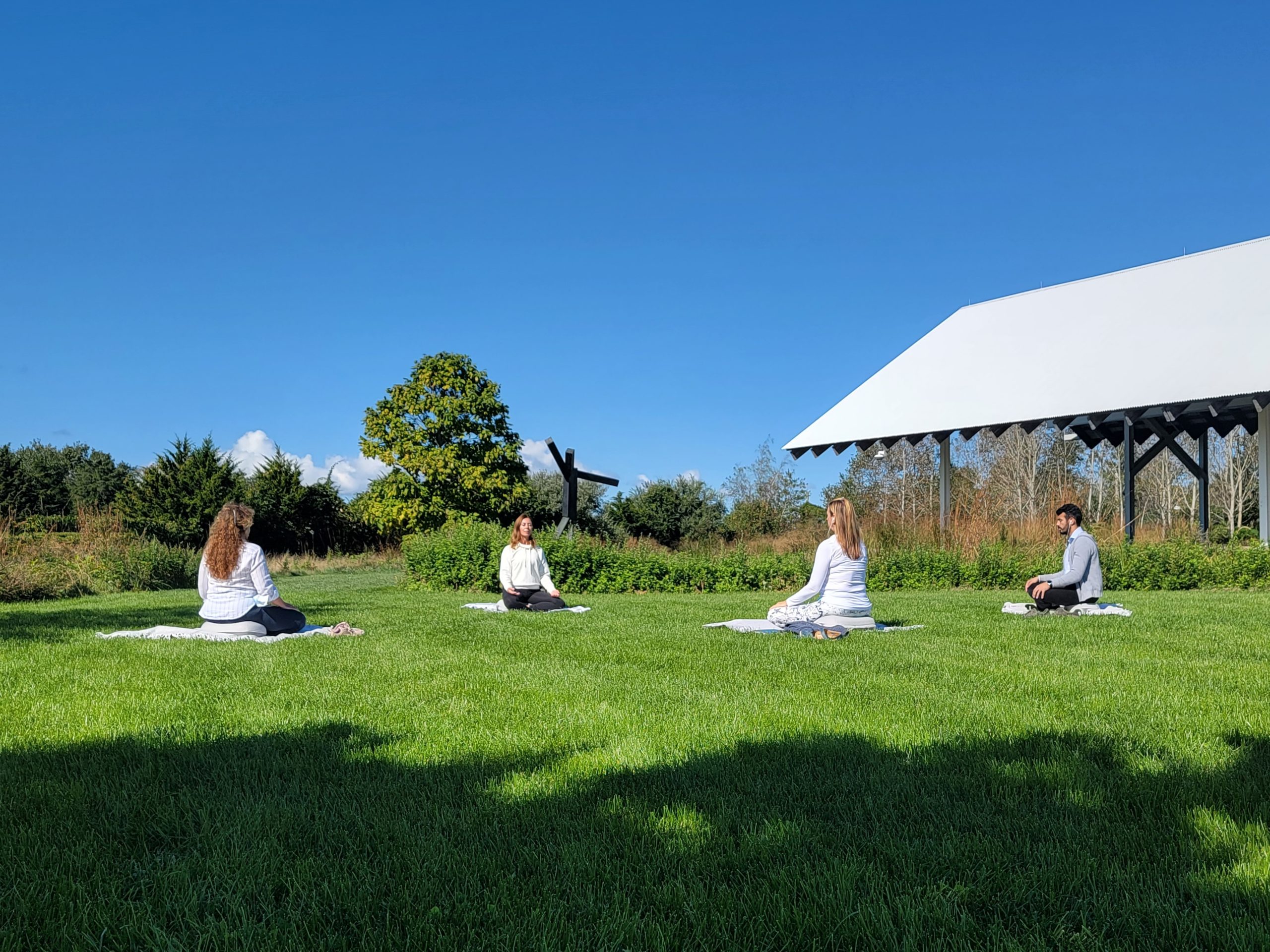 Meditation in the field at Parrish Art Museum.