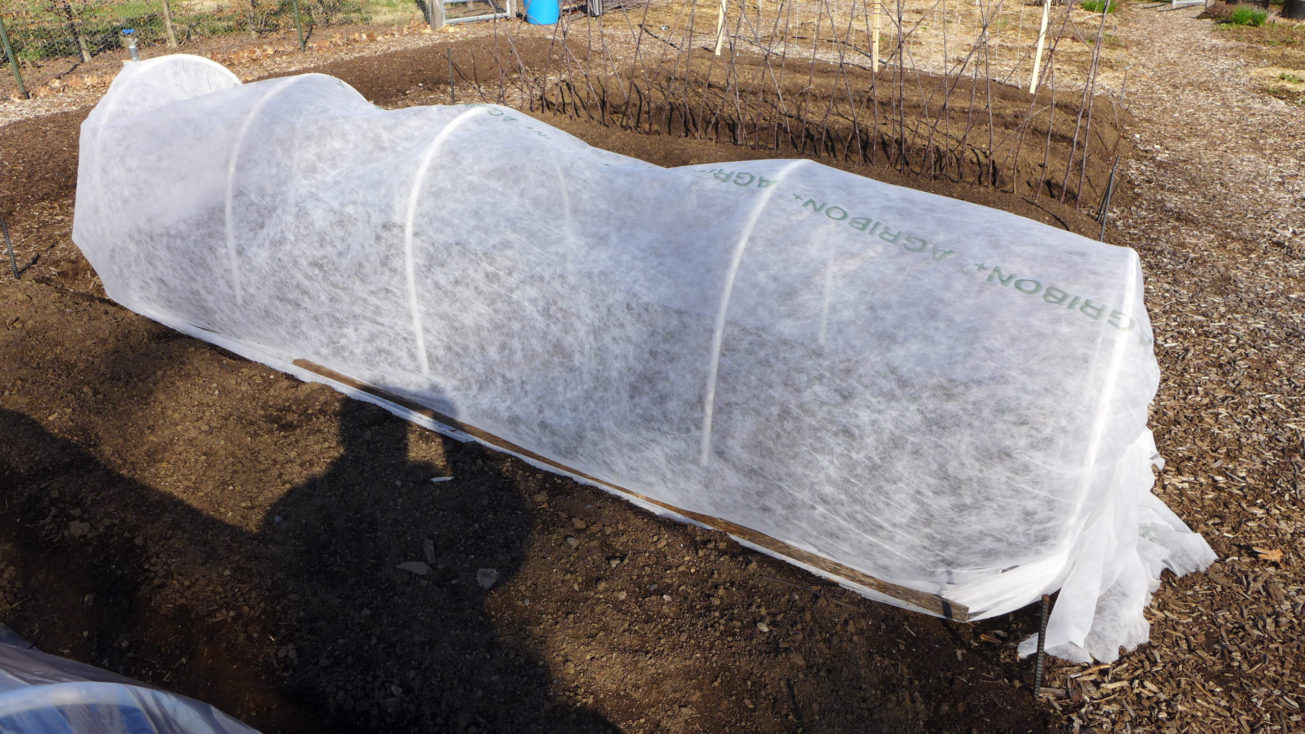 Late in the spring when frost and freezes can still be an issue, low tunnels like this one are covered with a light agricultural fabric that allows some warmth to be retained. The color also reflects some of the sun, keeping the tunnel cool on warm spring days. The ends can still be opened if additional venting is needed.