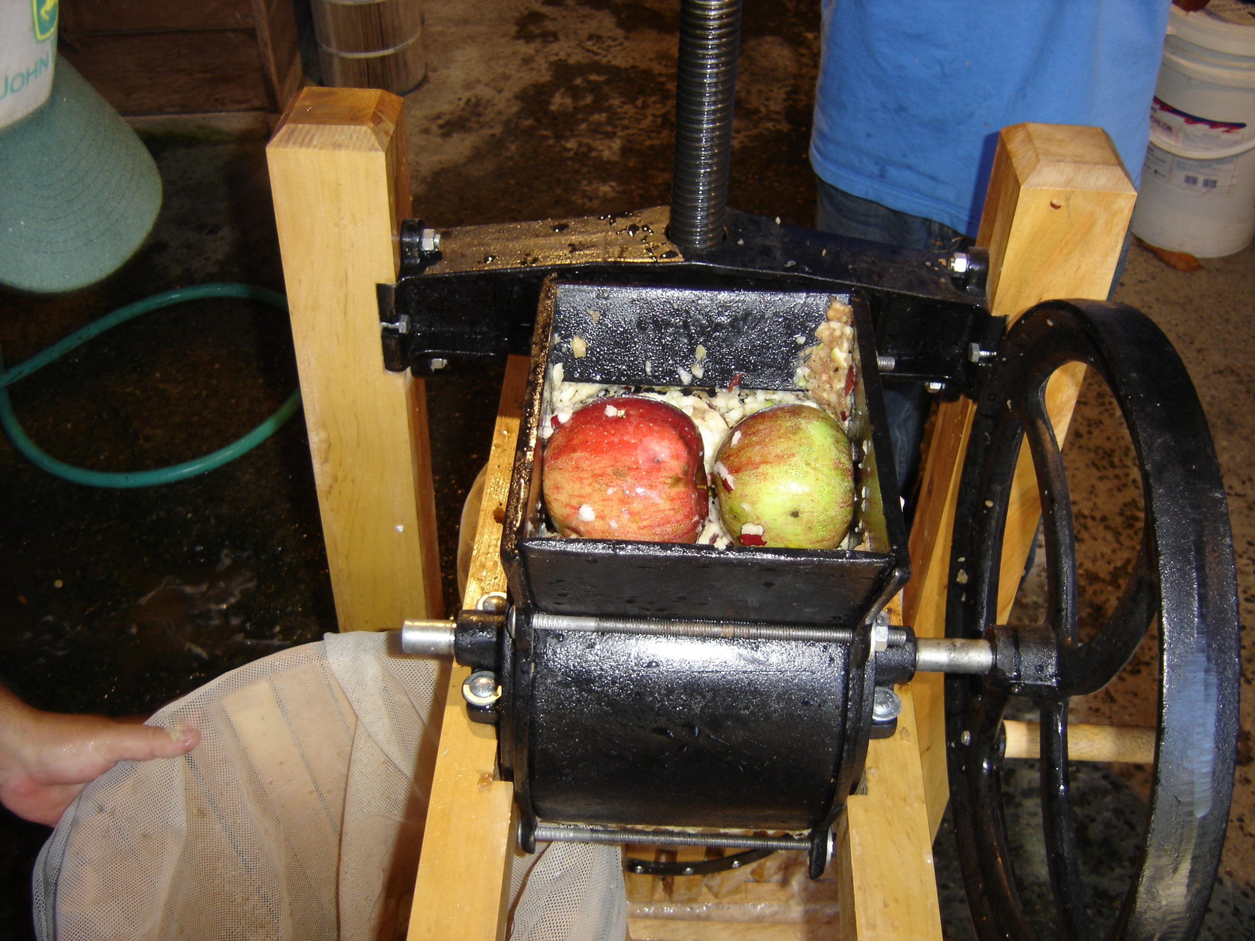 Several apples in the grinder. The wheel on the right is turned to grind the whole apples, allowing the pulp to drop into a wooden basket below.