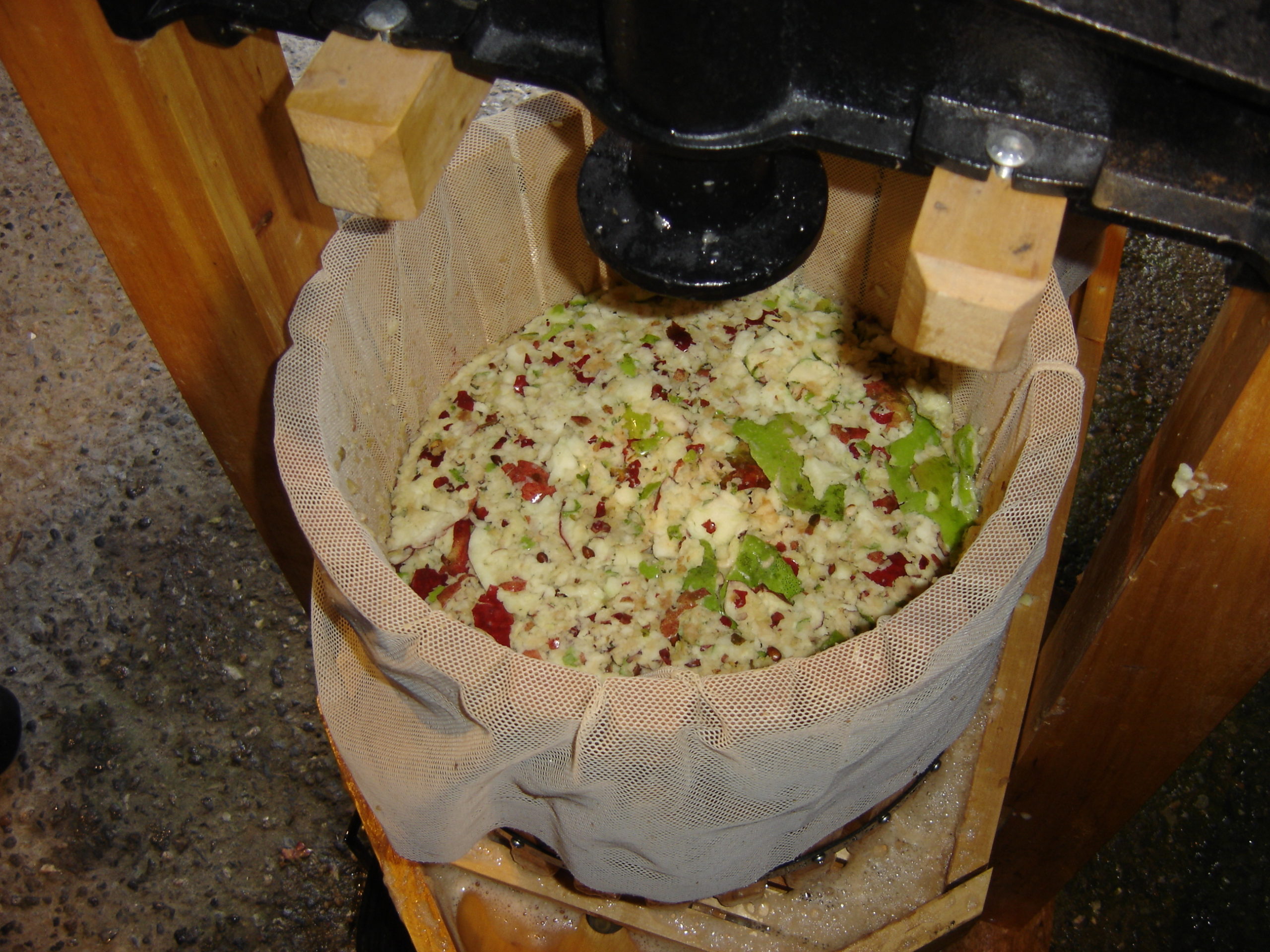 After grinding, the apples fall into a wooden basket with a mesh liner, and they are ready for pressing.