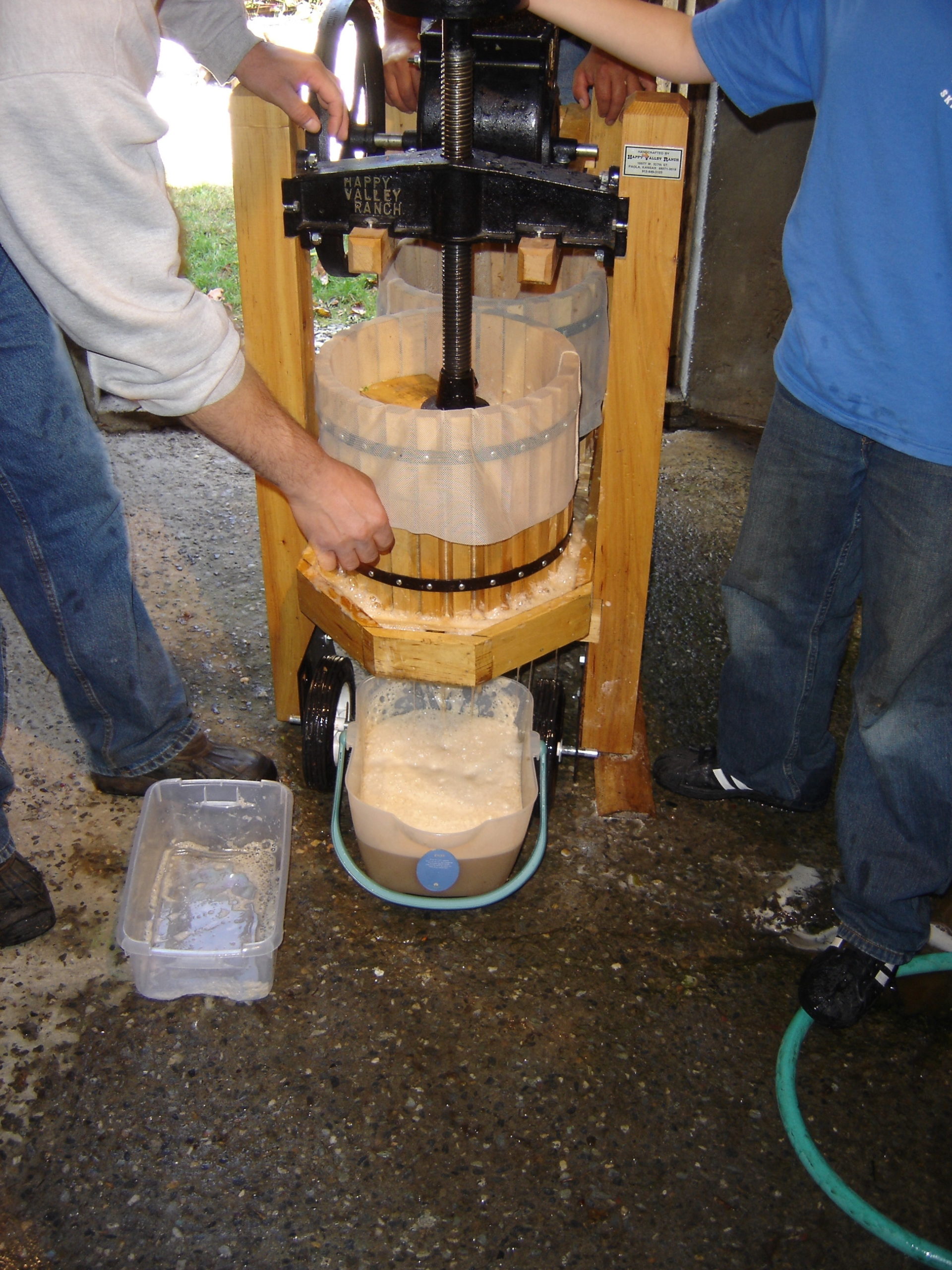 Using a manual screw-type press, the mash is pressed out and leaks into the trough under the basket then through a hole into the pail below.  A bushel of apples will yield two or more gallons of cider.  The cider is then decanted into pint, quart and gallon plastic jugs. The used mash is then put on the compost pile.