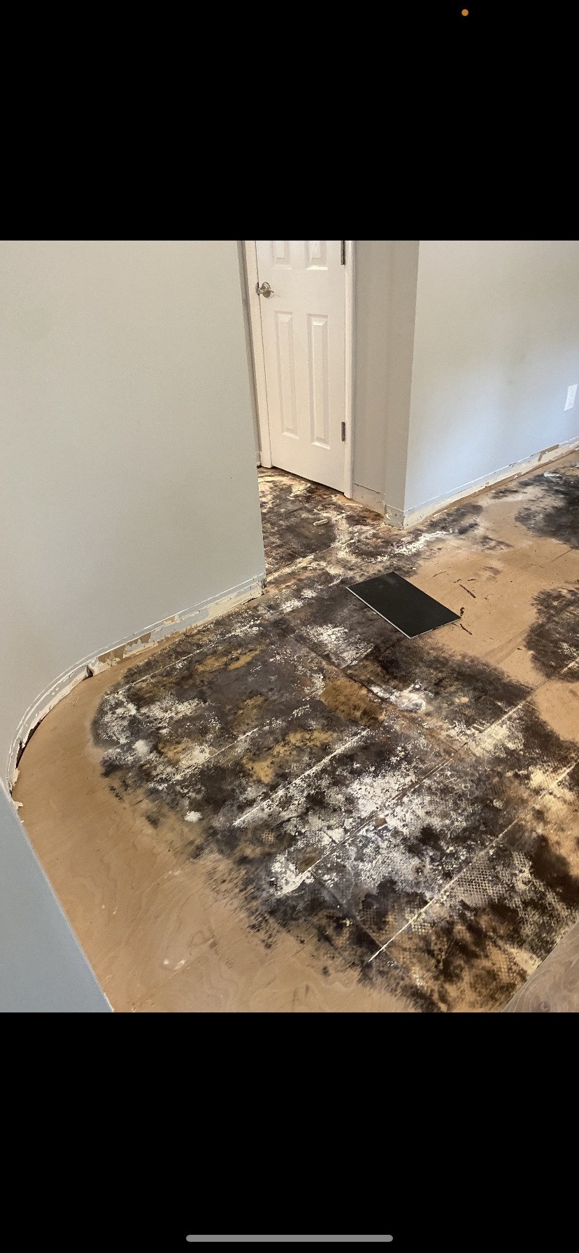 Mold that covers more than a small area typically needs to be dealt with by a professional.
