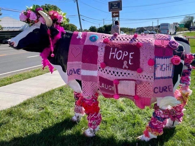 The Coalition for Women’s Cancers at Stony Brook Southampton Hospital is drawing attention to Breast Cancer Awareness Month during October with the placement of Molly the cow at the Phillips Family Cancer Center on Route 27. It is to  remind women to get their annual 