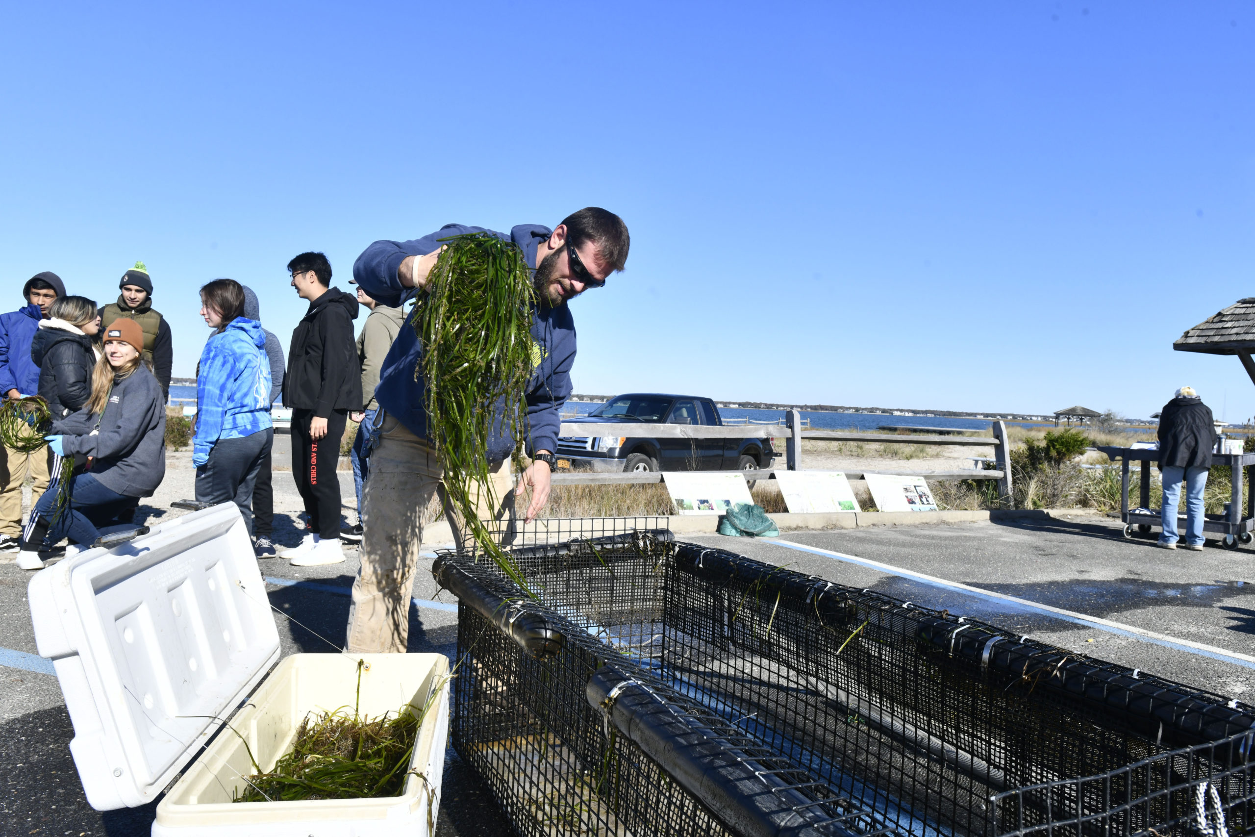 Jason Havelin of Cornell Cooperative Extension with some eelgrass.  DANA SHAW