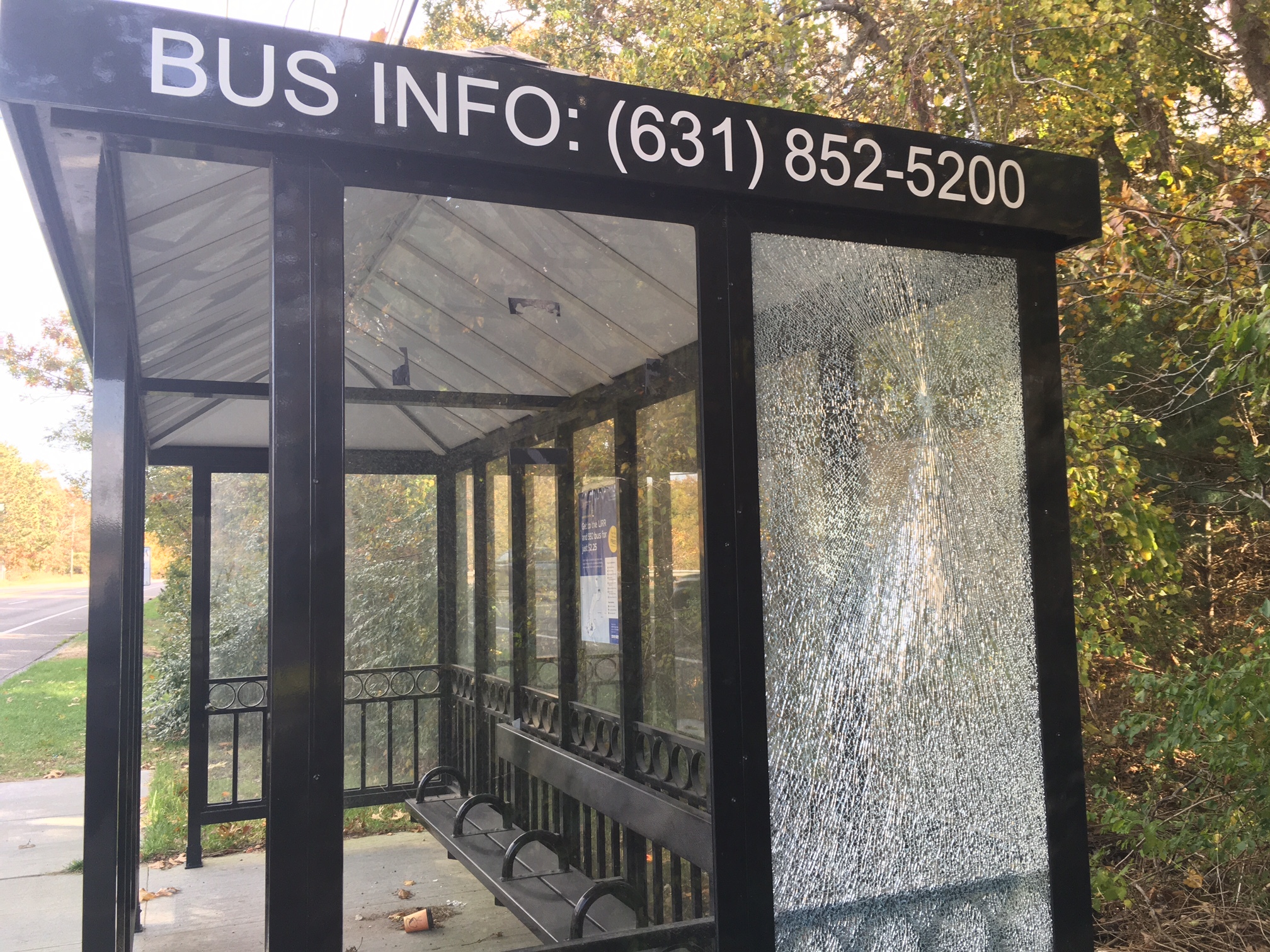 On the eastbound side of County Road 39,  the bus shelter  near the divided highway has been vandalized .