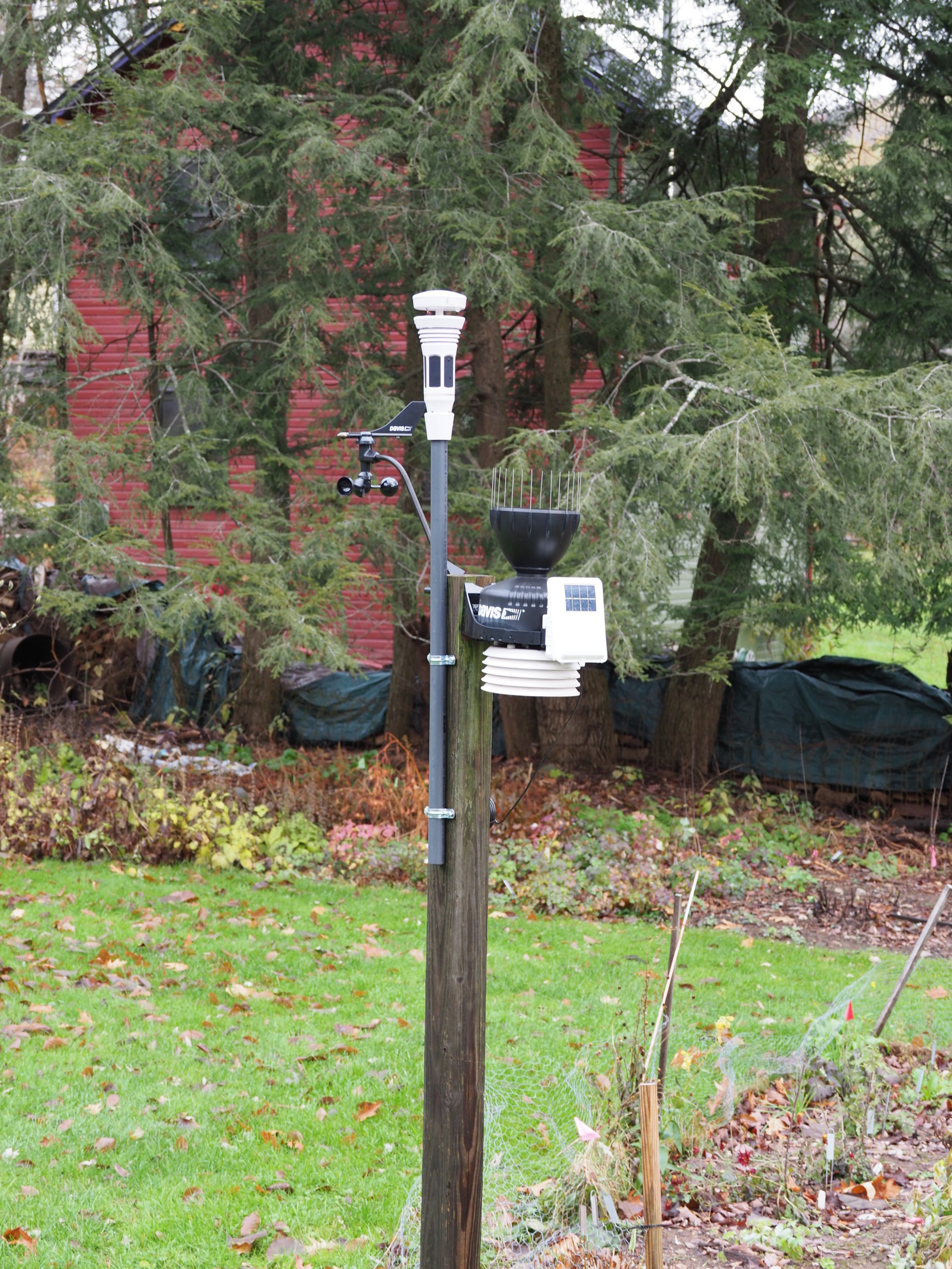 A weather station can be a gardener’s or wannabe meteorologist’s best friend. The device at the top of the gray pole is the totally self-contained Tempest model. To its right is the Vantage Pro 2 with its mechanical anemometer on the left. Both are solar powered and transmit wirelessly to an receiver that’s indoors. The Tempest has a lightening detector that will send alerts to a cellphone when lightening strikes occur within 25 miles.