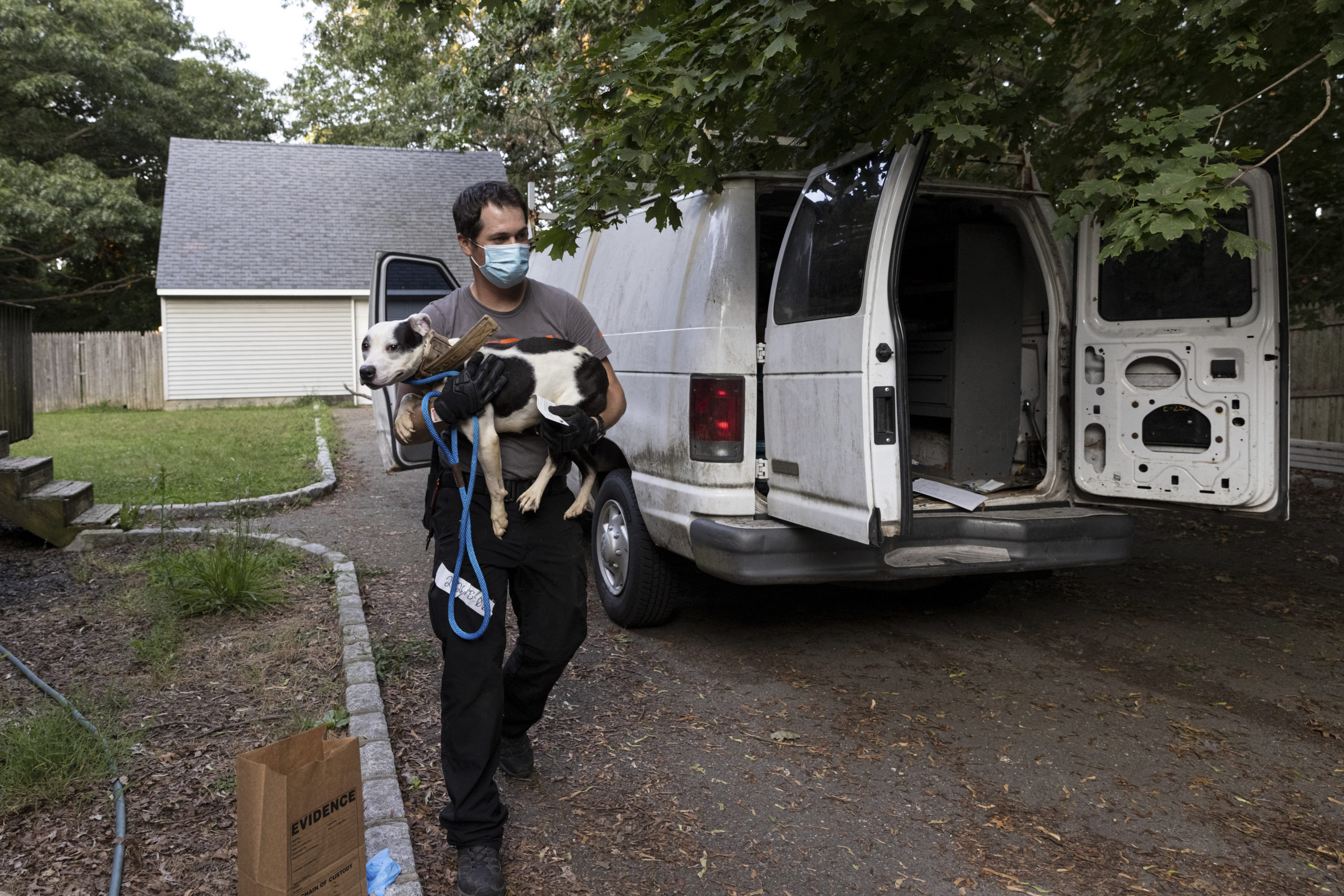 In August, rescuers take possession of dogs belonging to one of the largest and most brutal dog fighting rings the county has ever seen, according to Suffolk County’s Acting Police Commissioner Stuart Cameron.