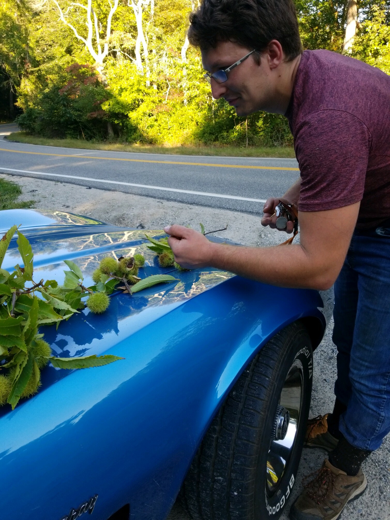 Niko Nantsis with chestnut burs laid out on the hood of a Corvette Stingray.APRIL GONZALES