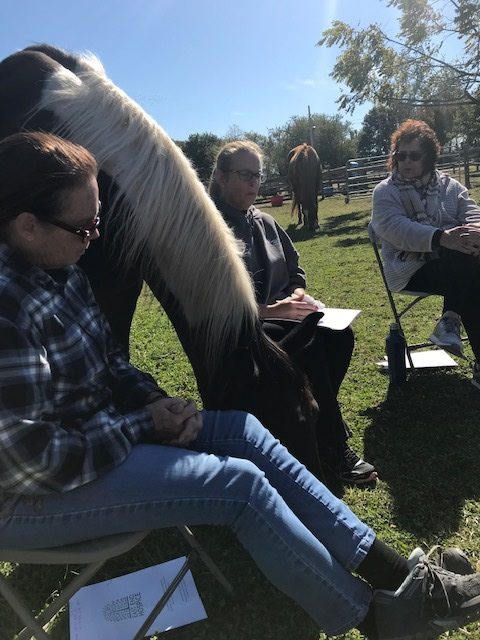 An East End Hospice bereavement group meets at Spirit's Promise Equine Rescue in Riverhead.