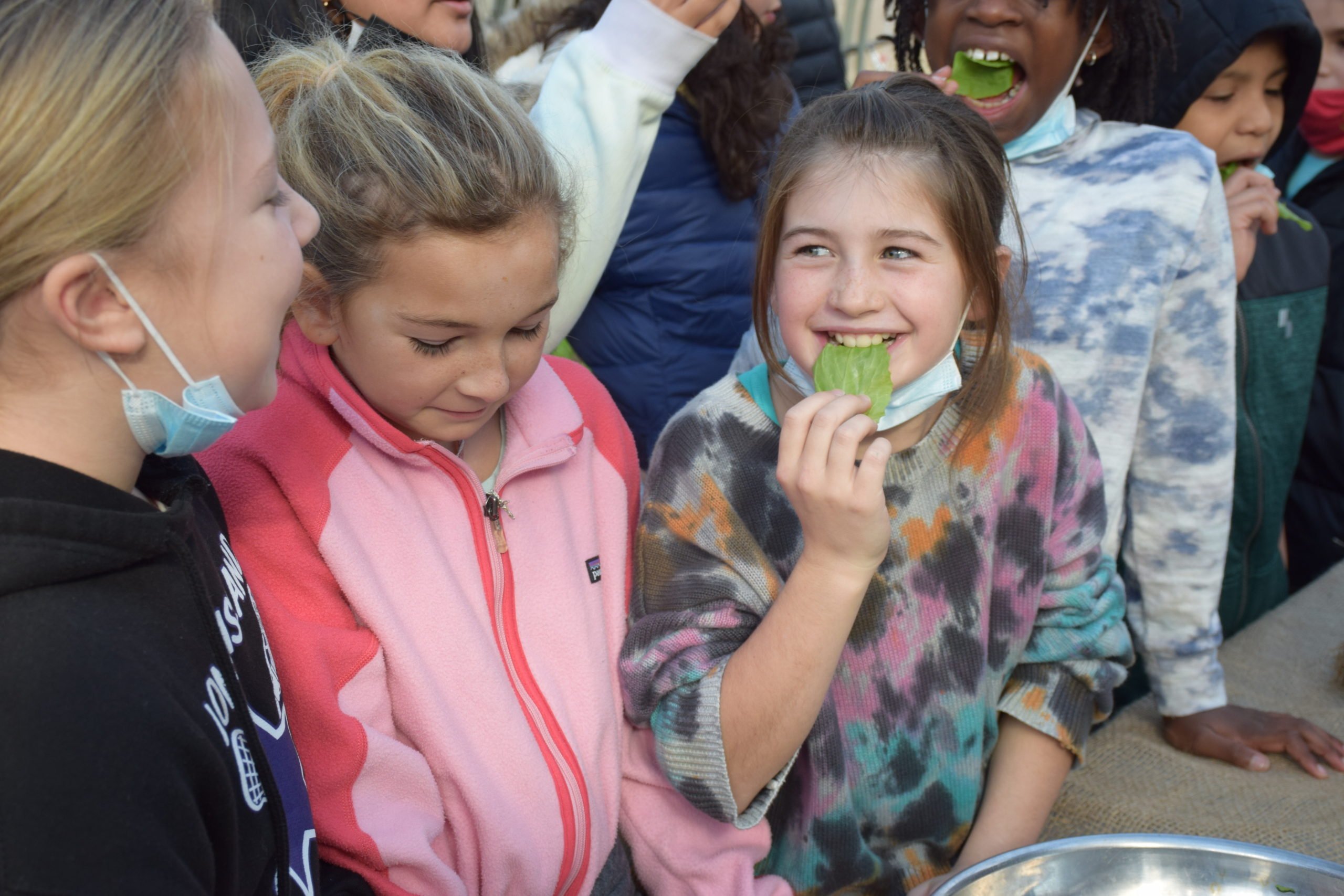 Westhampton Beach Elementary School students are learning about farming from organic farmer and educator Renato Stafford as part of a PTA-sponsored outdoor classroom project.