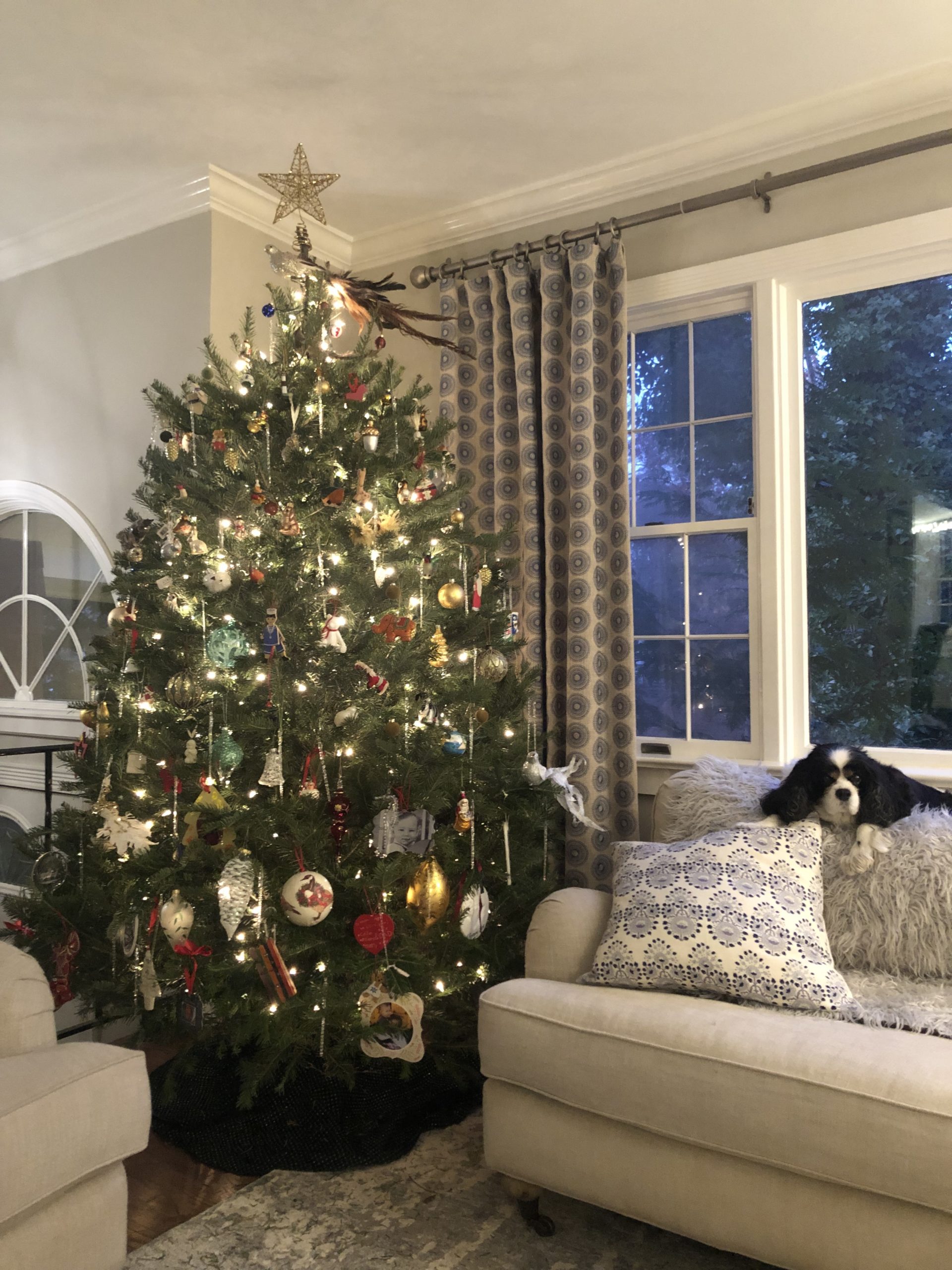 Patricia Brophy's Christmas tree, courtesy of Serene Green.