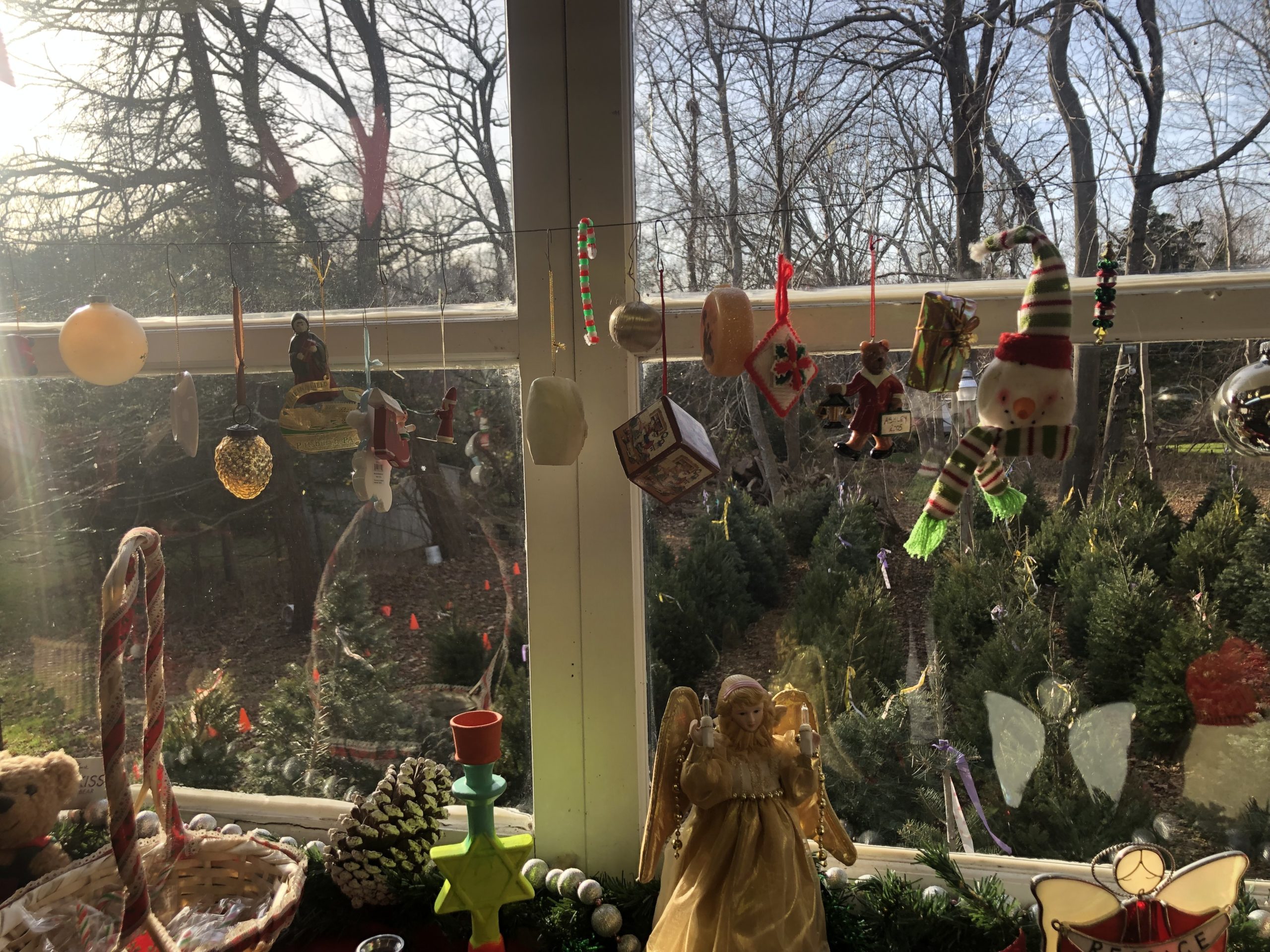 The gift shop at Olsen's Tree Farm in Flanders, with views to tree for sale outside.