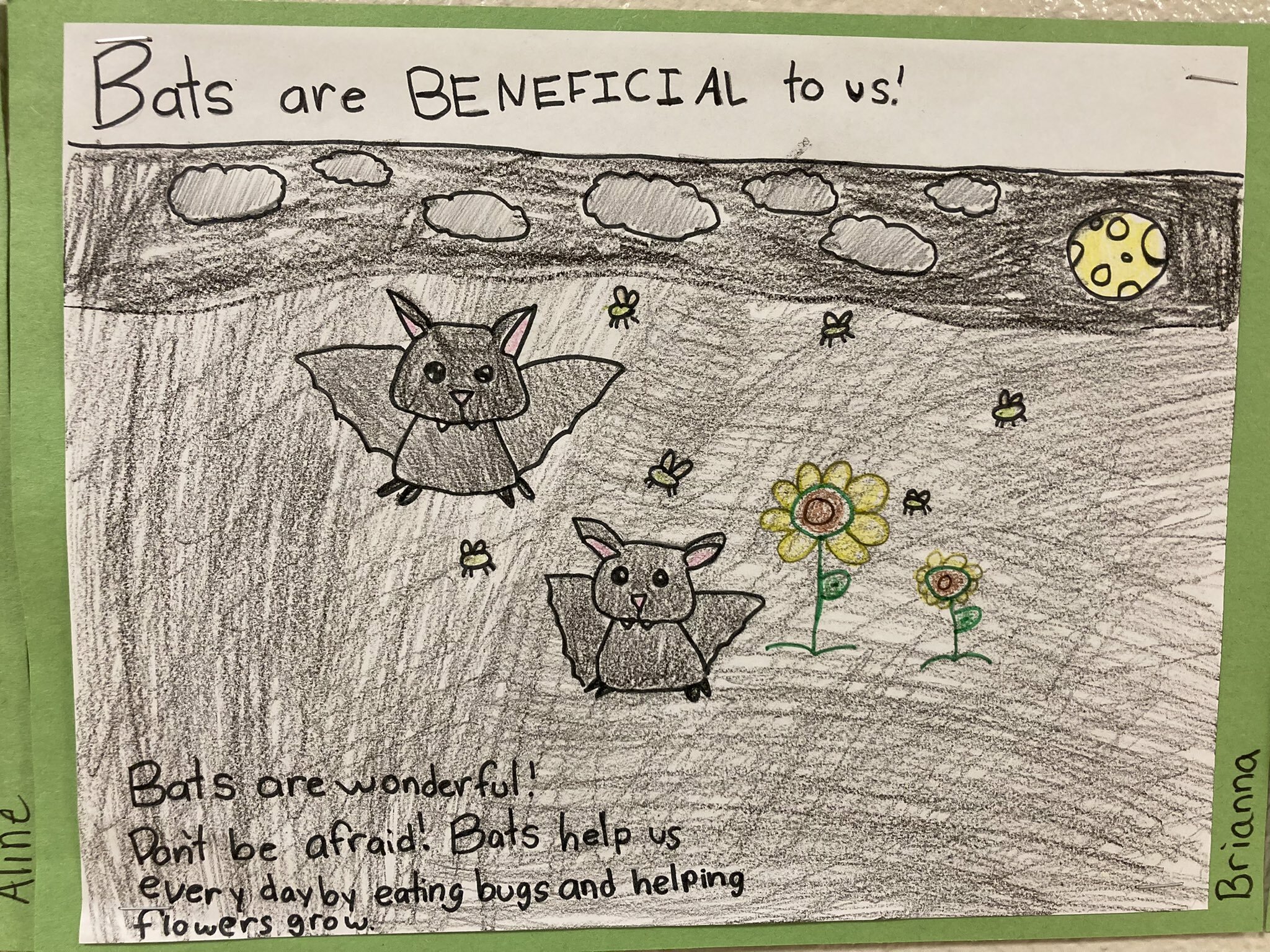 Jennifer Warren’s third grade class at Hampton Bays Elementary School recently created colorful posters to persuade people that protecting bats is important. Prior to designing their posters, the students researched bats and read, “Bats! Strange and Wonderful” by Laurence Pringle.