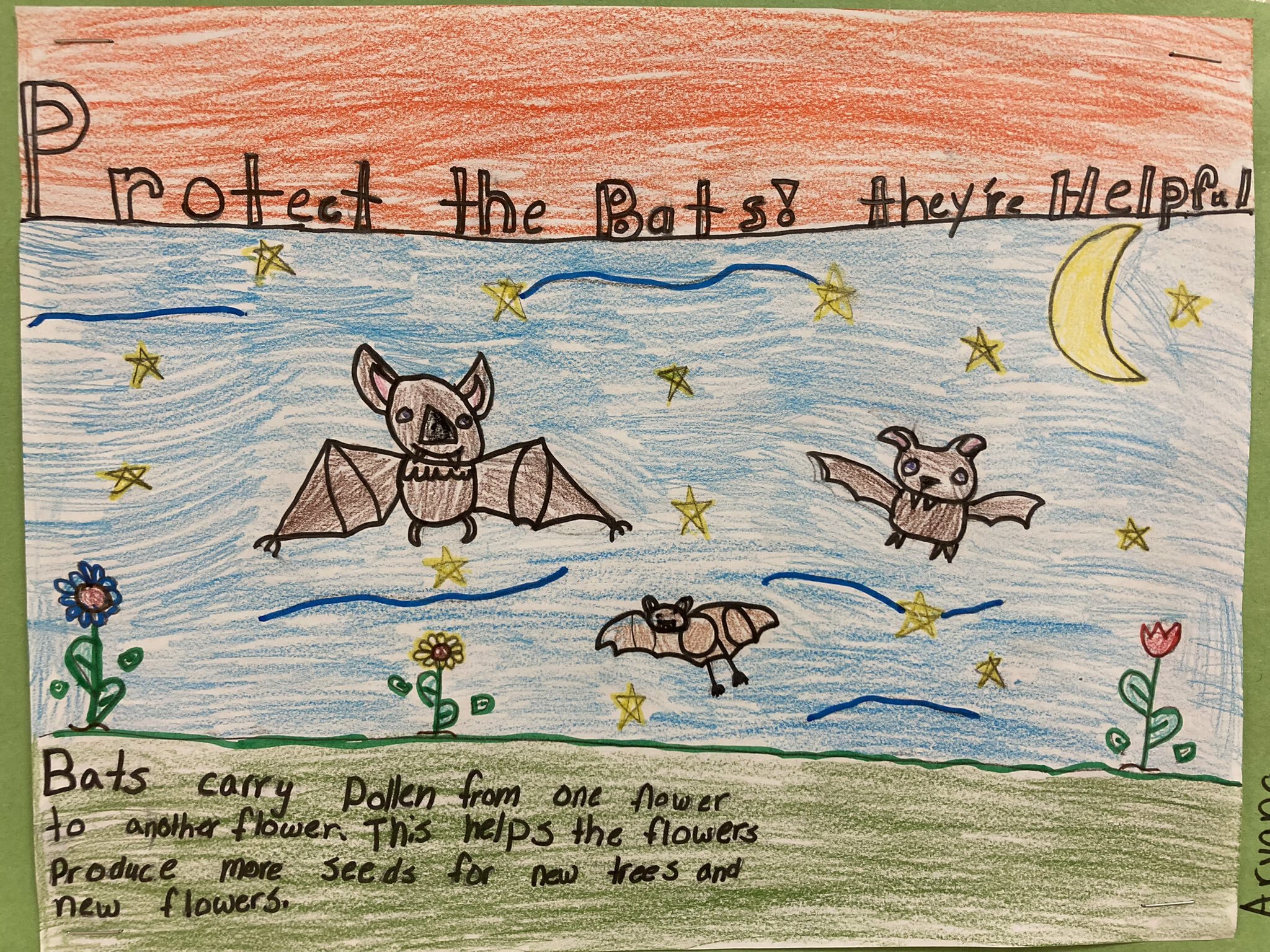 Jennifer Warren’s third grade class at Hampton Bays Elementary School recently created colorful posters to persuade people that protecting bats is important. Prior to designing their posters, the students researched bats and read, “Bats! Strange and Wonderful” by Laurence Pringle.