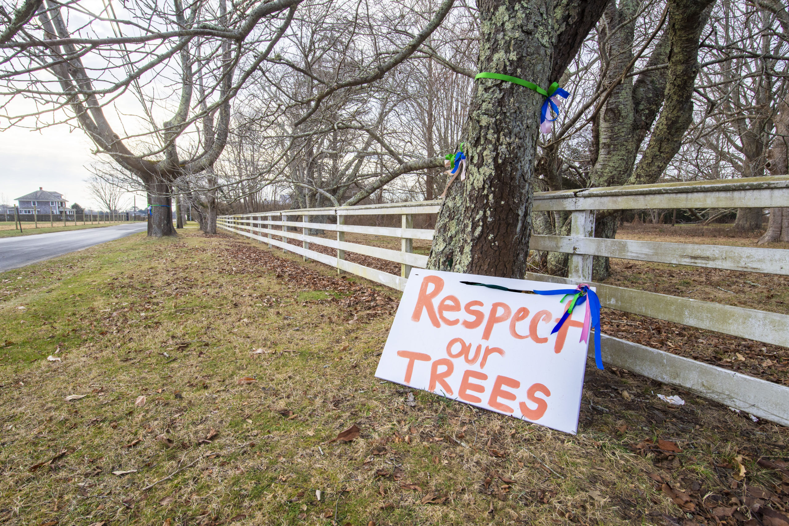Residents of Wainscott have posted pleadings to South Fork Wind imploring the project's developers to not remove trees along Beach Lane and elsewhere in Wainscott as the two-year installation of the power cable begins.