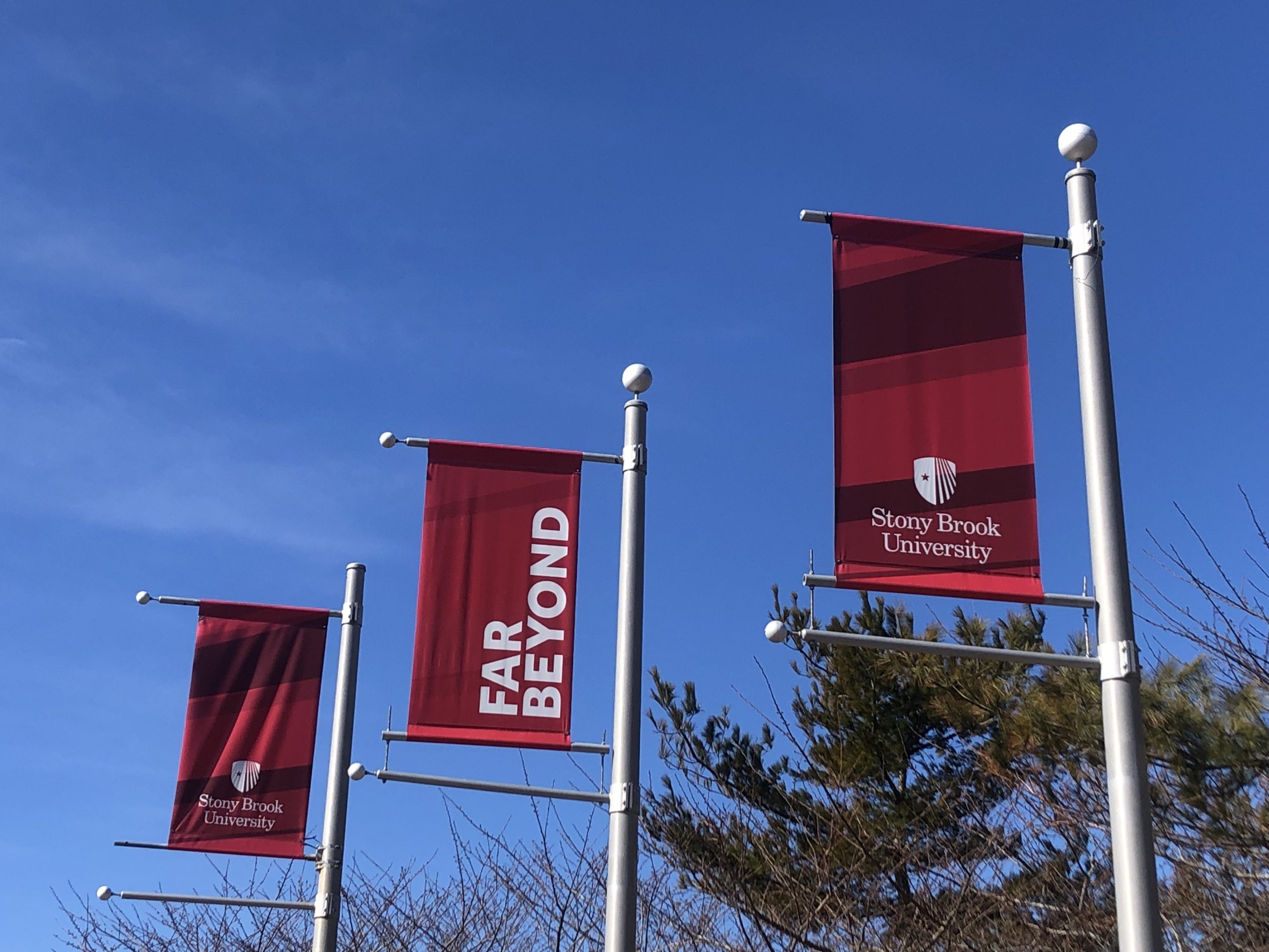 Despite its strong marine and atmospheric science program, Stony Brook University still hasn’t divested from fossil fuels. Go to “Fossil Free Stony Brook” to sign a petition insisting they divest immediately. JENNY NOBLE