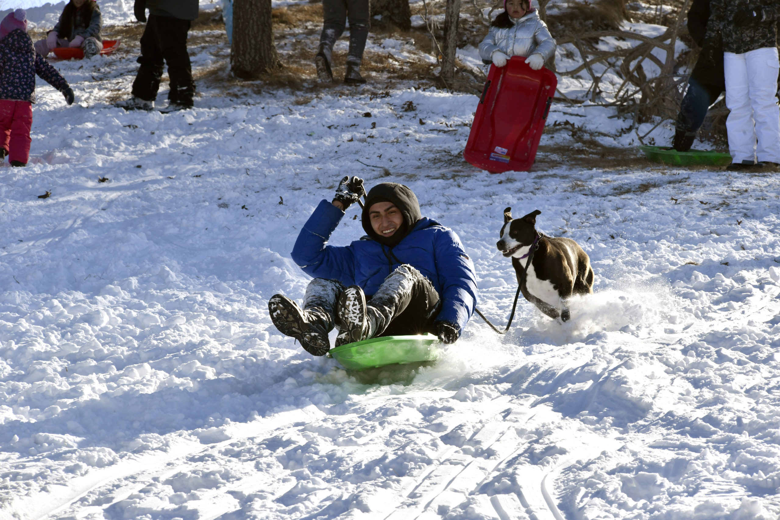 A man sleds while his dog runs beside him in Hampton Bays on Sunday afternoon.  DANA SHAW