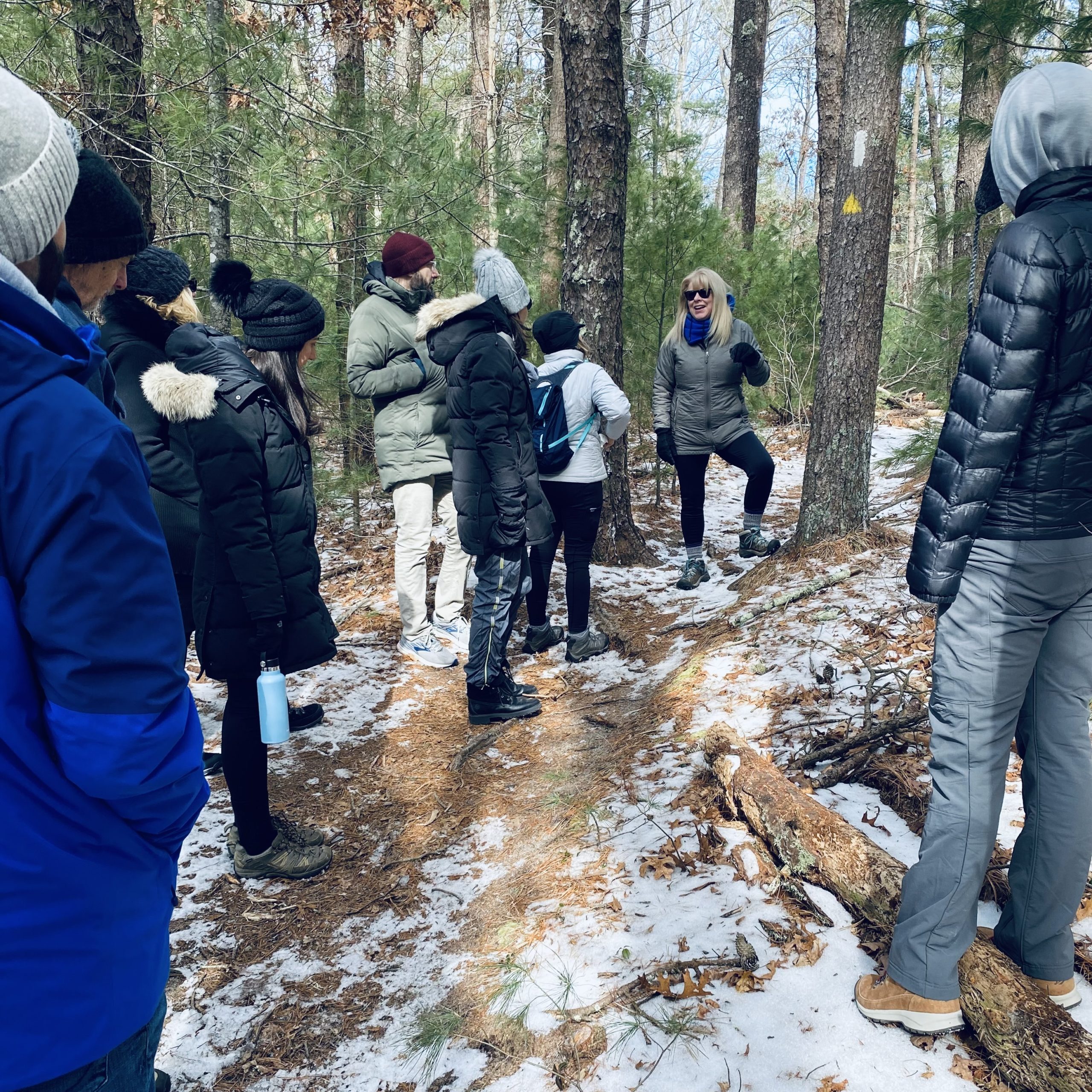 Laurie DeVito of the East Hampton Trails Preservation Society led a large group on a 5-mile hike through the Northwest Woods on Saturday, stopping periodically to explain points of interest.