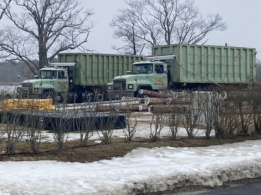 A cadre of trucks rolled onto Bay Avenue on Monday morning.