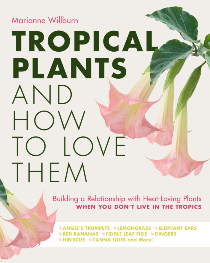“Tropical Plants and How to Love Them” by Marianne Willburn is a great book for those who want to bring the tropics into their outdoor gardens.