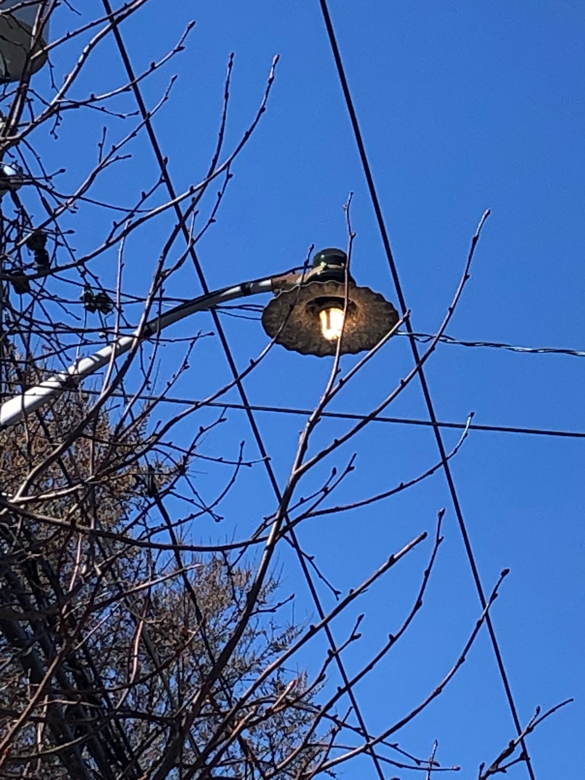 A Sag Harbor streetlight, 2:19 p.m. “Day burners” like this one contribute to overall mismanaged lighting, costing $3.3 billion and the release of 21 million tons of carbon dioxide per year. JENNY NOBLE