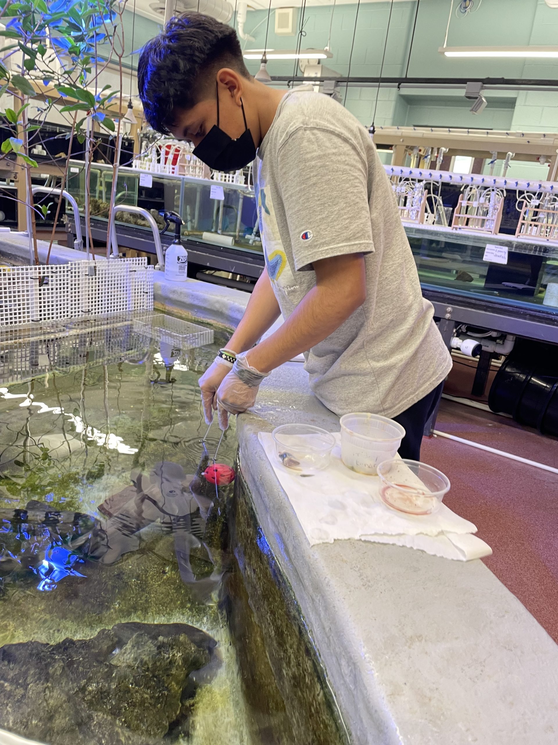 Southampton High School students are researching a wide variety of topics through a new marine science research program at the school.