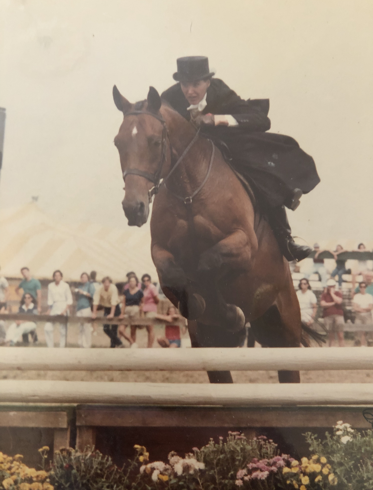 Patsy Topping was an accomplished equestrian and had a particular affinity for competing in the sidesaddle division. She was champion in that division at many shows, including the Hampton Classic, which hosted the sidesaddle class until the 1990s.  COURTESY THE TOPPING FAMILY