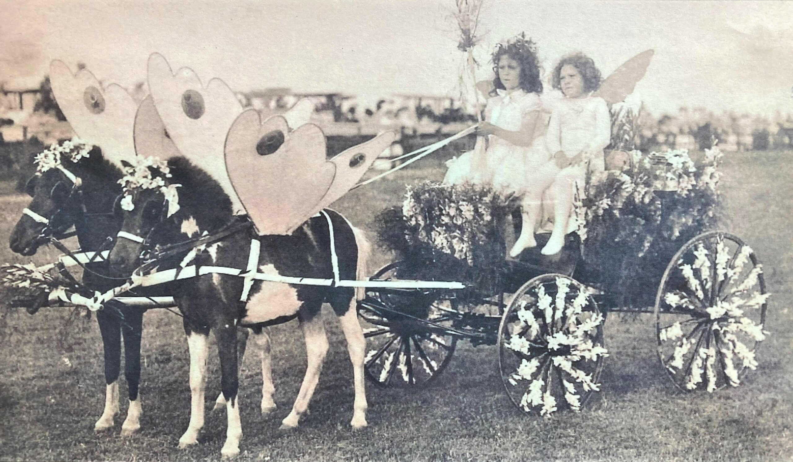 Ponies as Butterflies, c. 1910. SOUTHAMPTON HISTORY MUSEUM COLLECTIONS