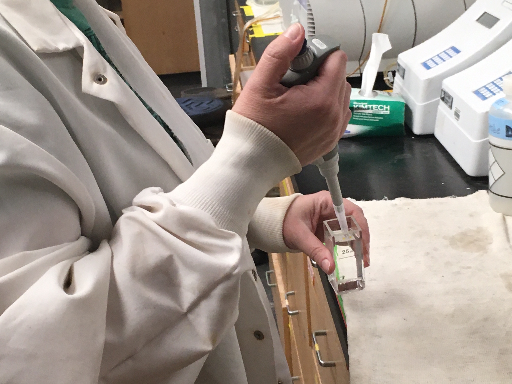 Water samples are tested in the Gobler Lab at the Stony Brook Southampton campus.     KITTY MERRILL