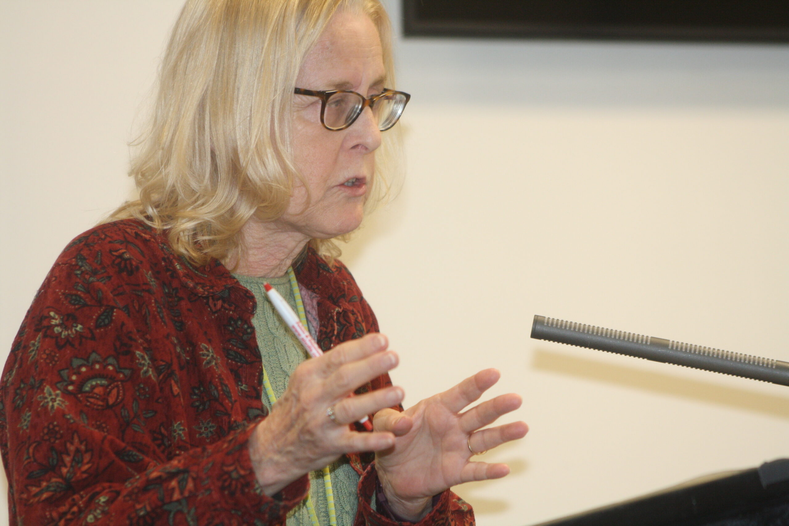 Mary O'Brien, an East Quogue resident who owns rental units in Southampton Village, was one of several landlords and homeowners who rent their homes seasonally that came to the public hearing on the proposed rental registry law on Tuesday. CAILIN RILEY