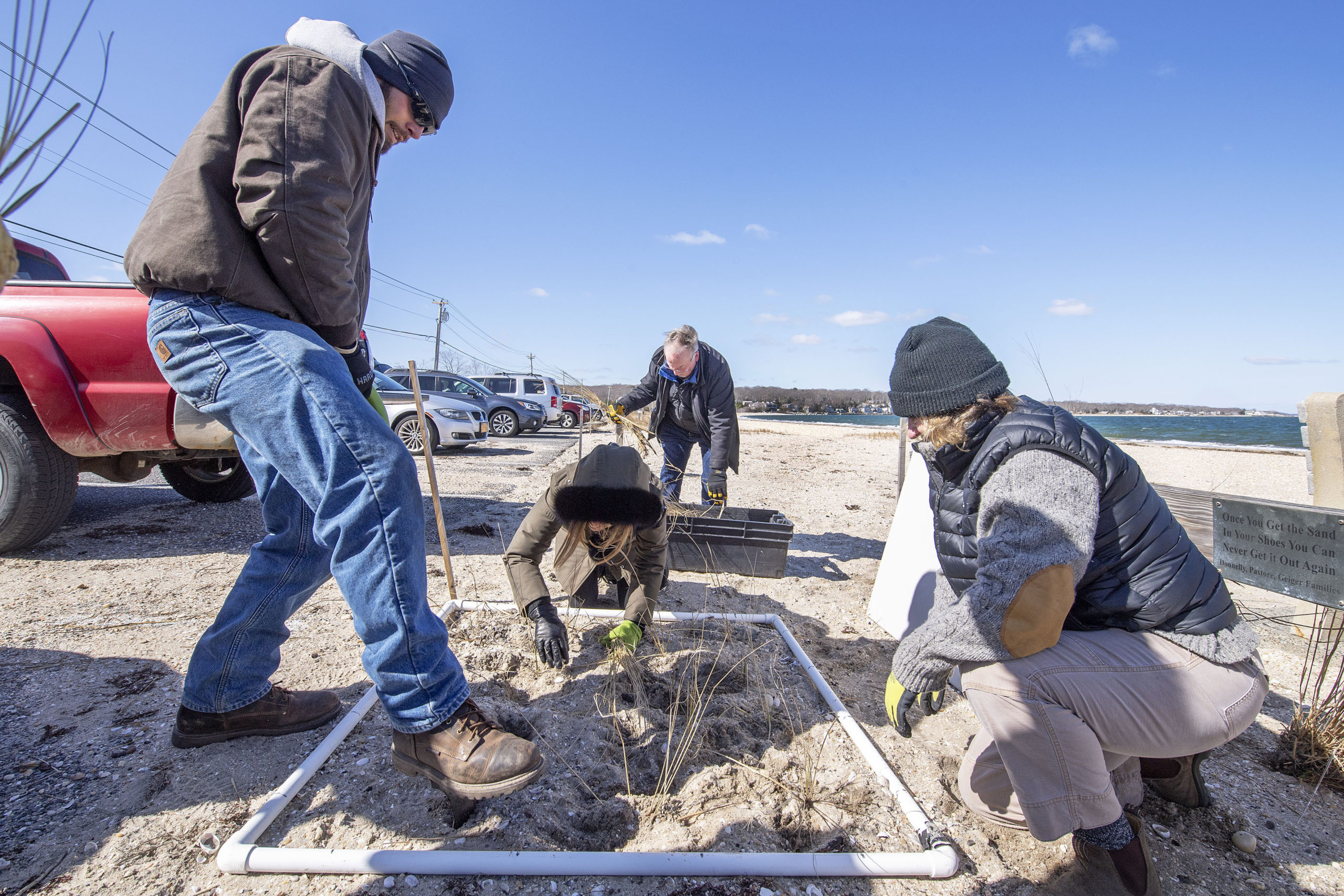 Cornell Cooperative Extension Habitat Restoration Technician Jason Havelin uses a shovel to dig a hole in the sand as volunteers from the community met with marine environment experts from Cornell Cooperative Extension at the Foster Memorial Beach, aka Long Beach, on Saturday morning to learn about how certain native shrubs, trees and grasses are used to protect the shoreline, and to help plant more of those native species in the area of the memorial rock there, as a first step in the Noyac Civic Council's project to restore Long Beach and make the environment there sustainable.    MCIAHEL HELLER