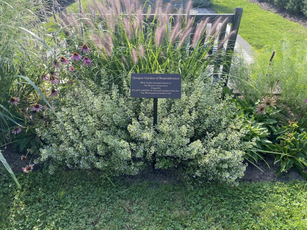 The Westhampton Garden Club's Garden of Remembrance at the Quogue Firehouse.