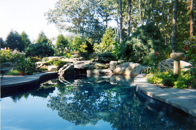 The back corner of the Biercuk and Luckey garden in Wainscott features a pool designed as a pond with a waterfall, surrounded with plantings that peak mid-July through October.