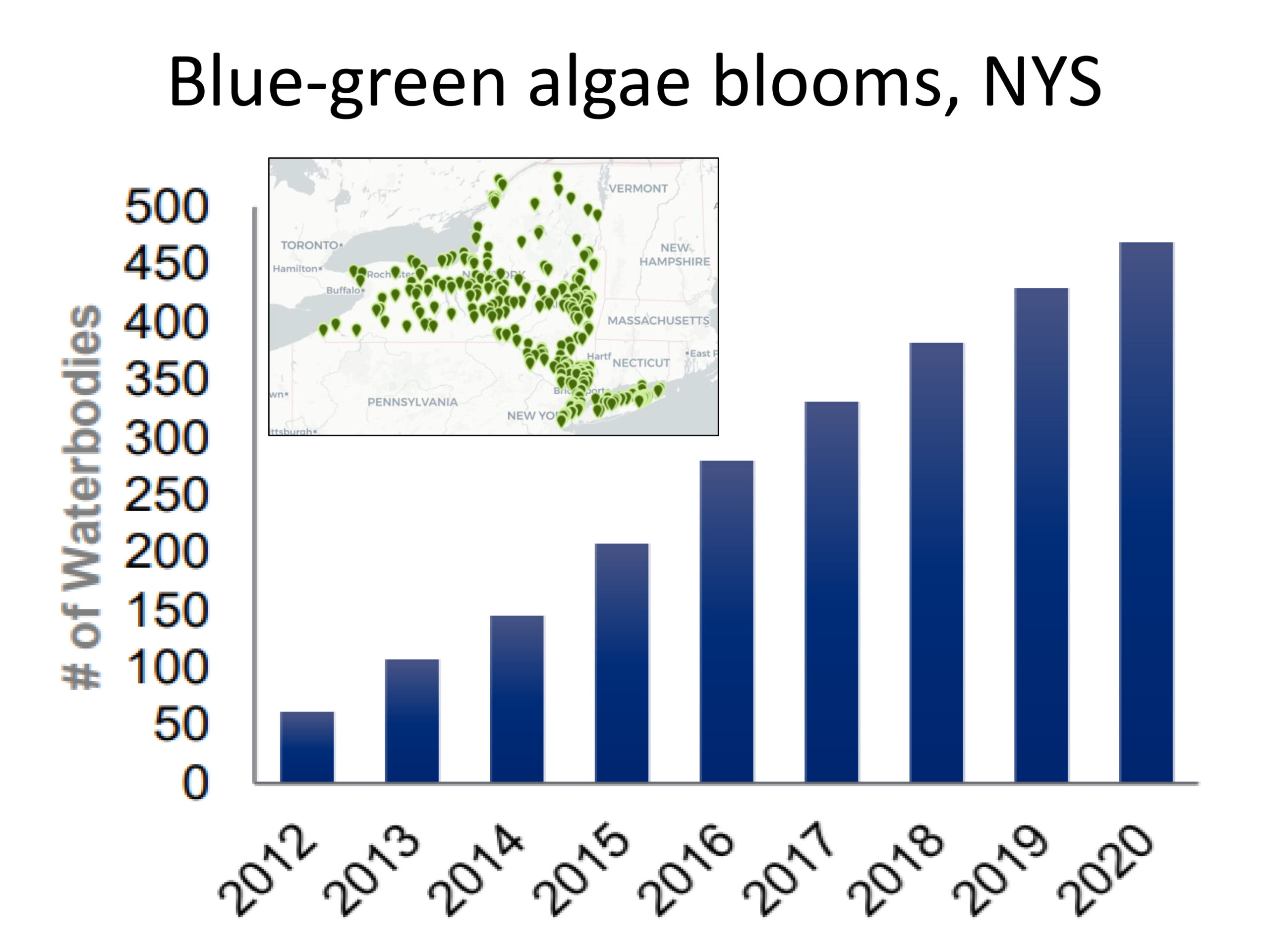 The number of algal blooms in New York State up to 2020.     COURTESY CHRISTOPHER J. GOBLER