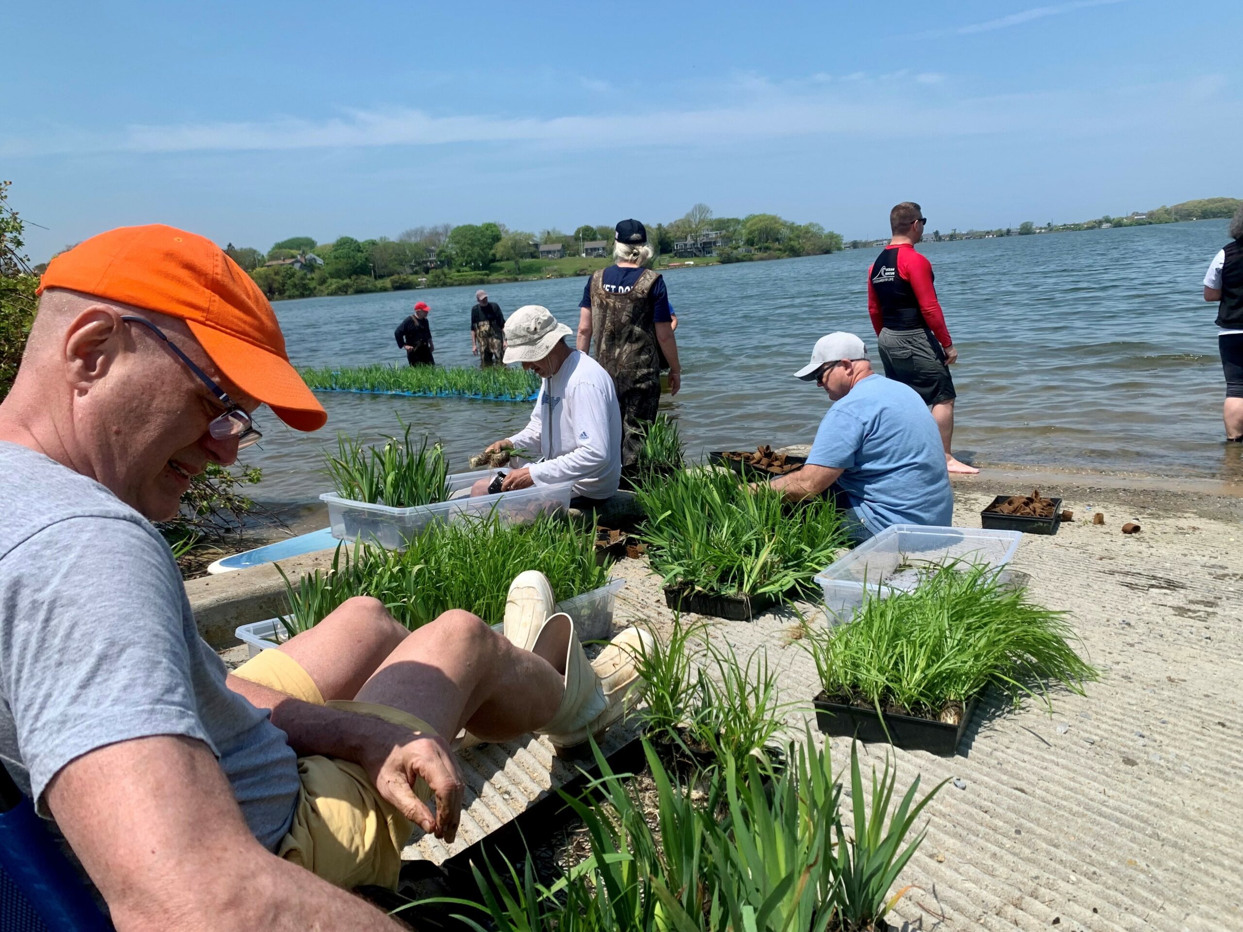 The Concerned Citizens of Montauk, with help from volunteers, installed floating wetlands in Fort Pond recently. COURTESY CONCERNED CITIZENS OF MONTAUK