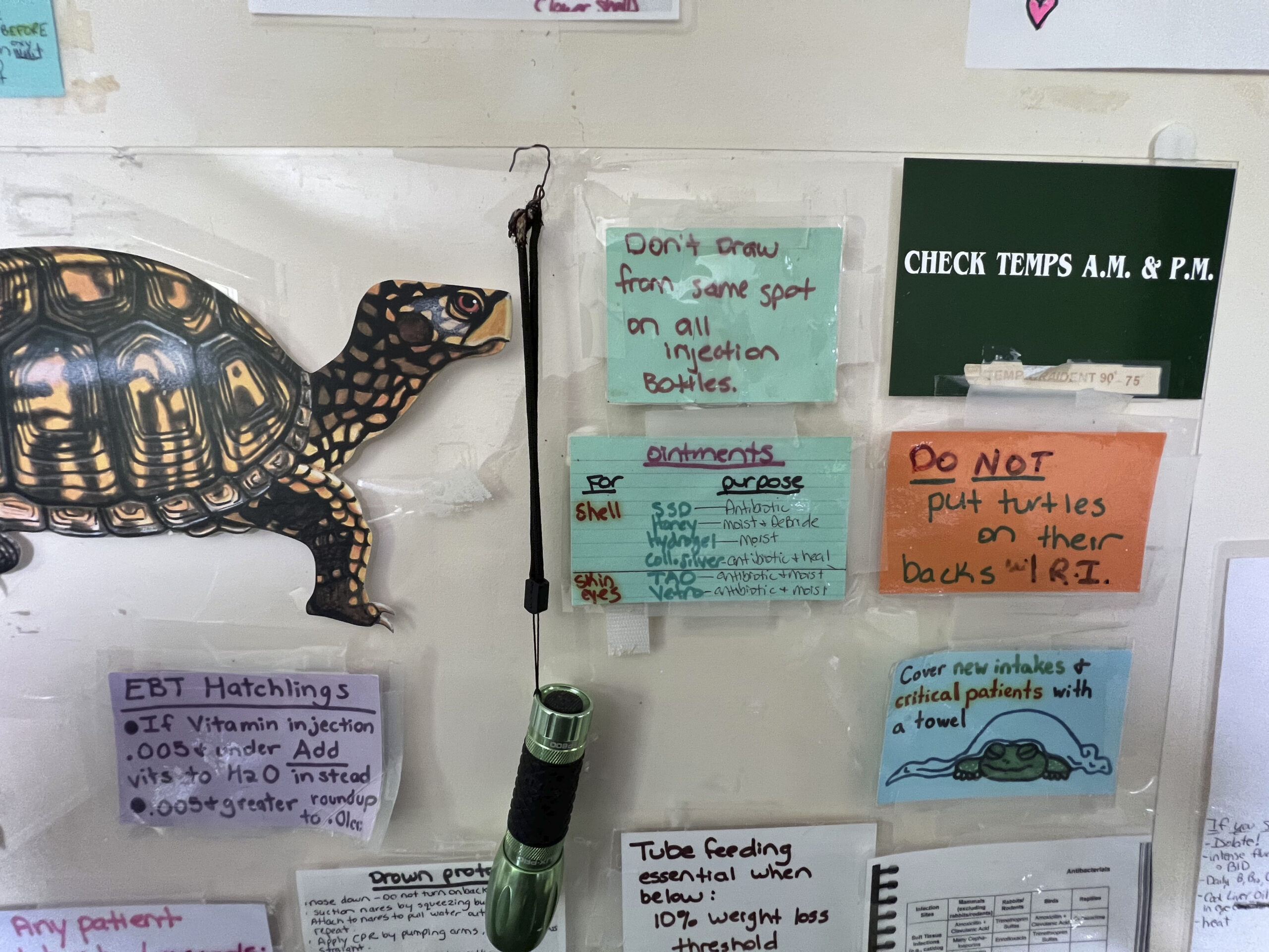 Some of the messages at Turtle Rescue of the Hamptons.  DANA SHAW