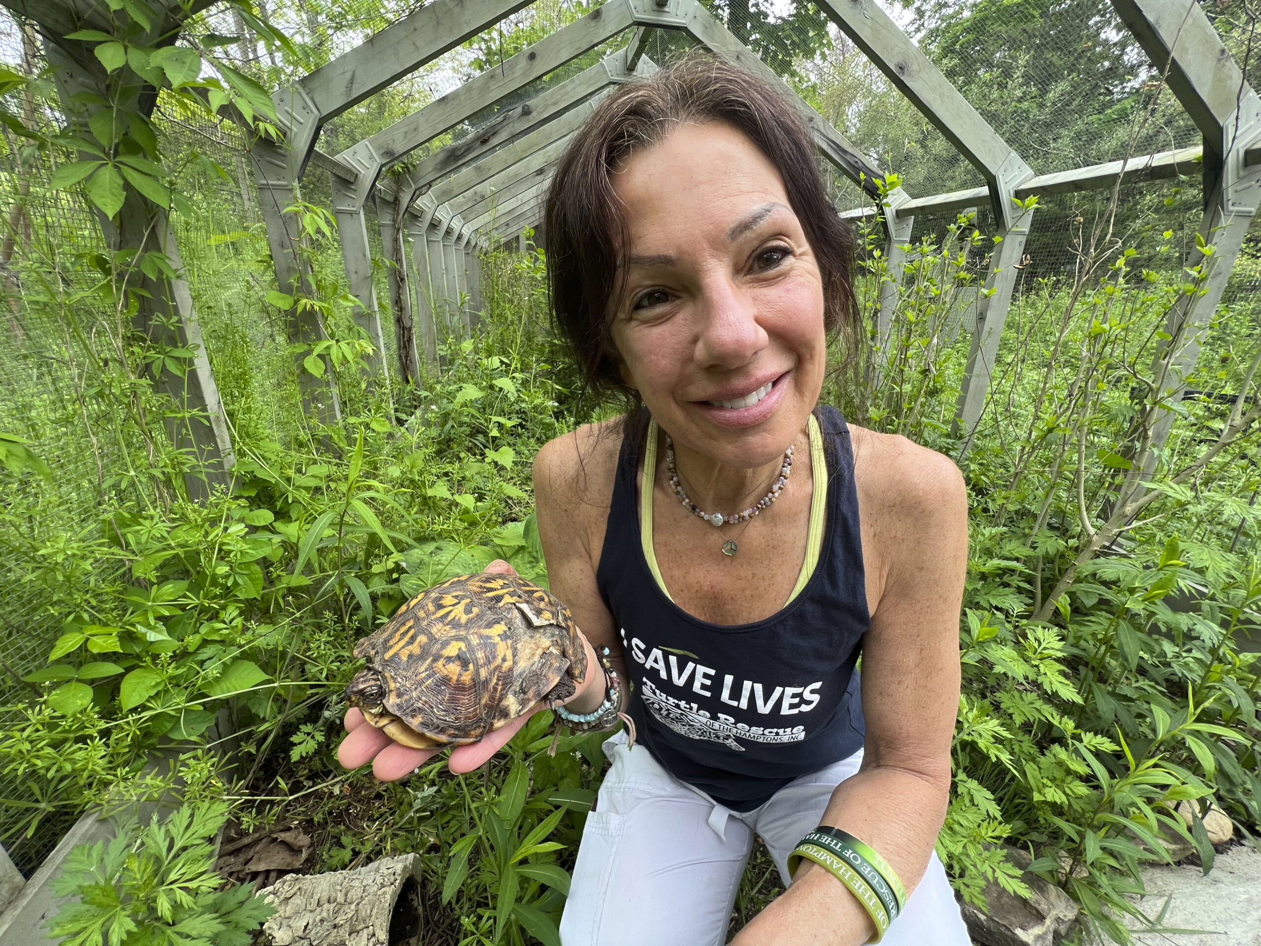 Karen Testa of Turtle Rescue of the Hamptons.  DANA SHAW