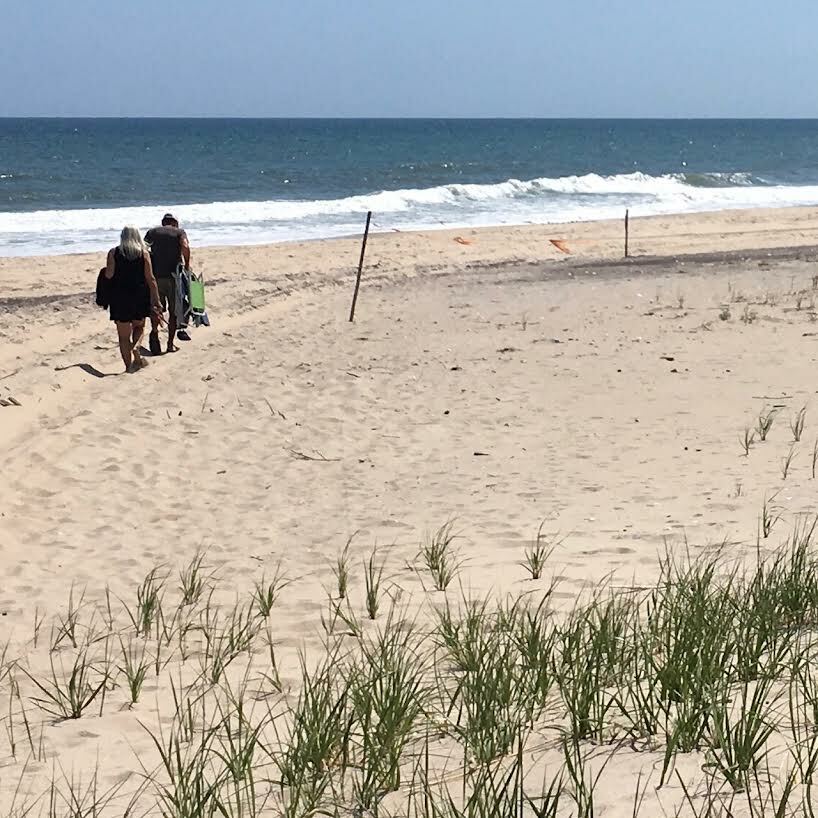 A barely visible string is used to cordon off the piping plover nesting ground at Sagg Main Beach.   KITTY MERRILL