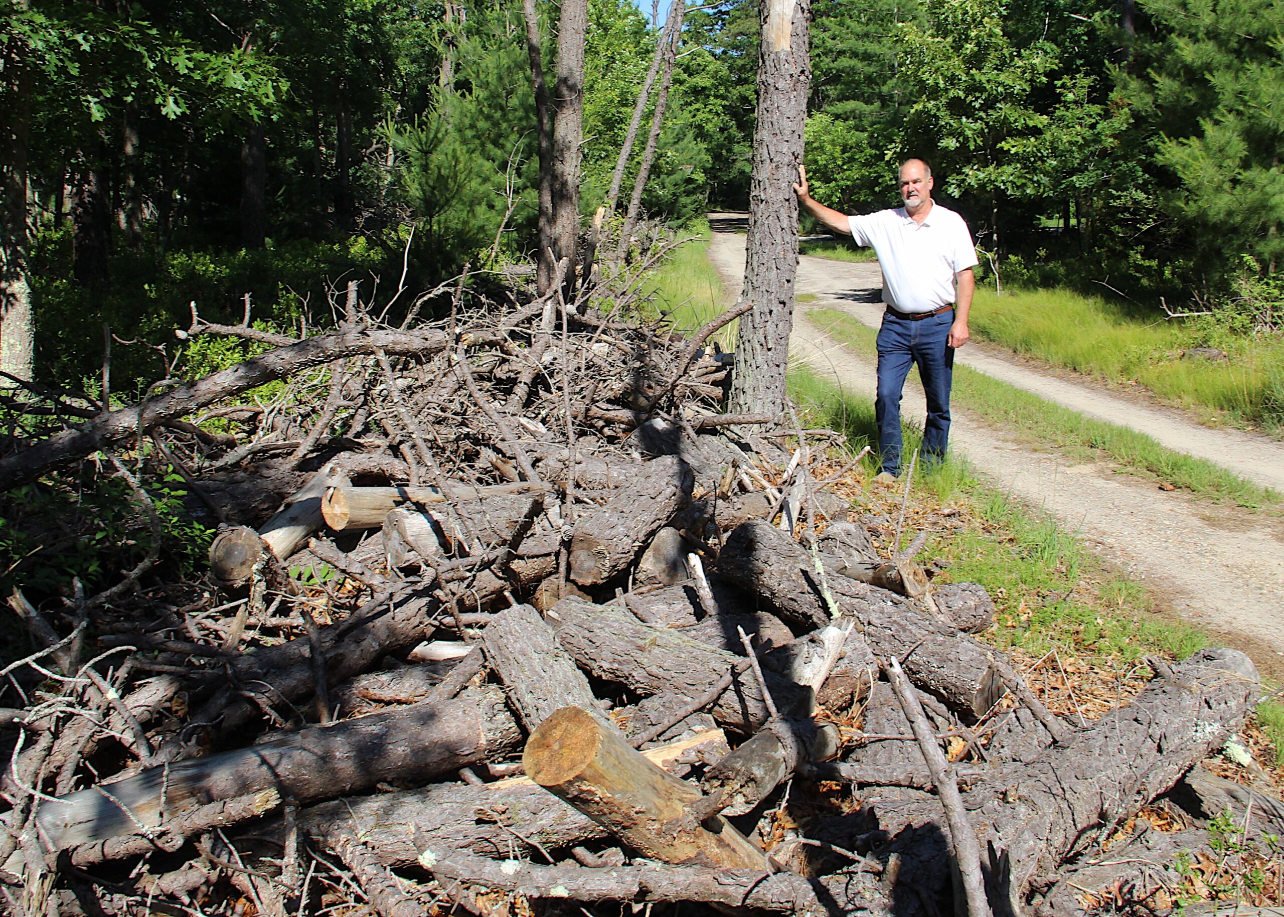 Peter Van Scoyoc with some of the aftermath following a southern pine beetle infestation on his property in Northwest Woods. KYRIL BROMLEY