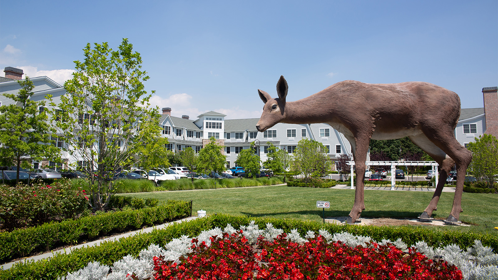 The giant deer sculpture headed to Hampton Bays has been 'grazing' at a luxury apartment complex in Amityville.