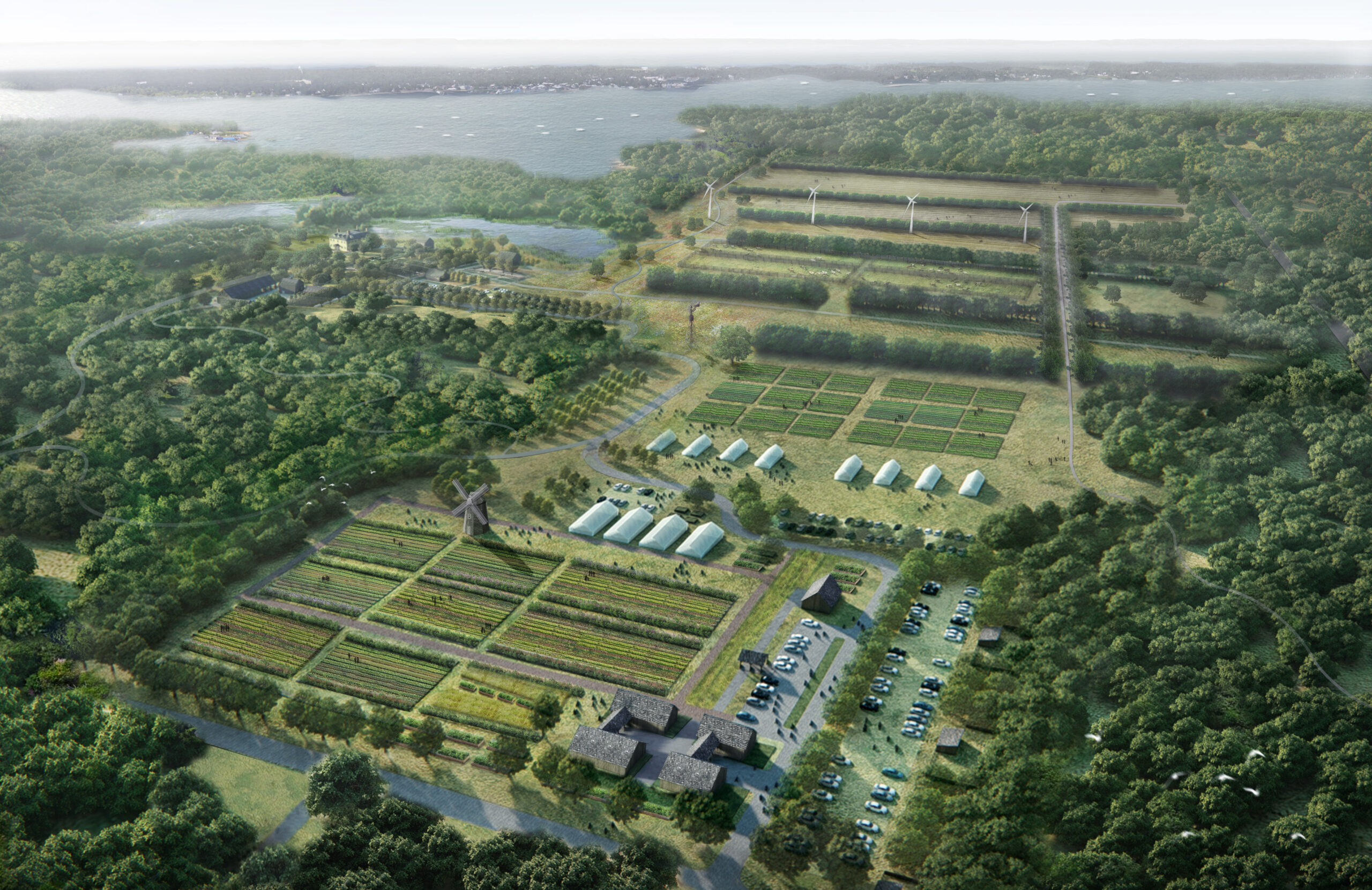 Sylvester Manor Educational Farm rendering by Nelson Byrd Woltz Landscape Architects.