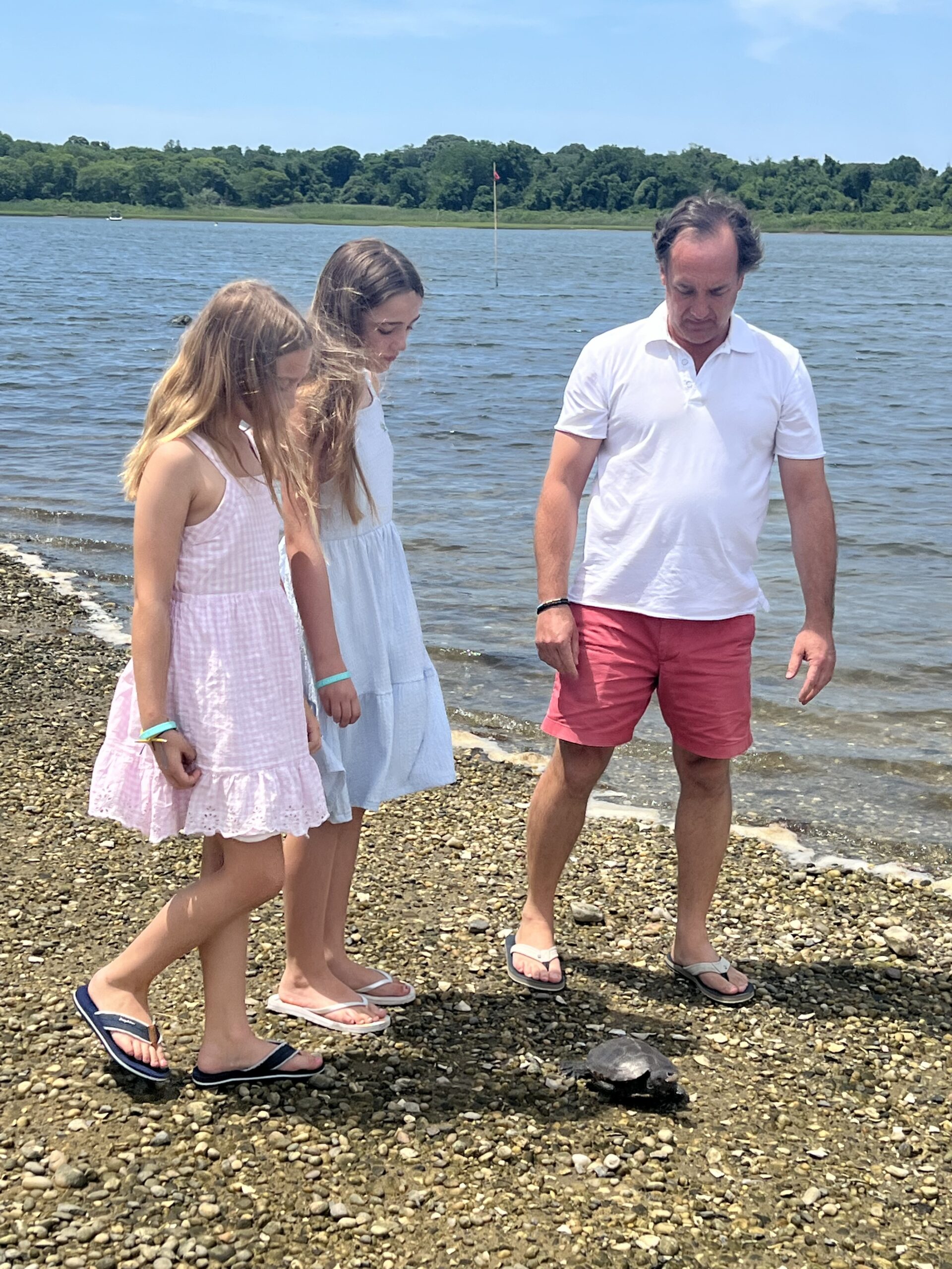 COURTESY JOHN WOBENSMITH Gracie (left), Ella (middle) and John Wobensmith (left) follow Lilly the turtle into the water during her release.